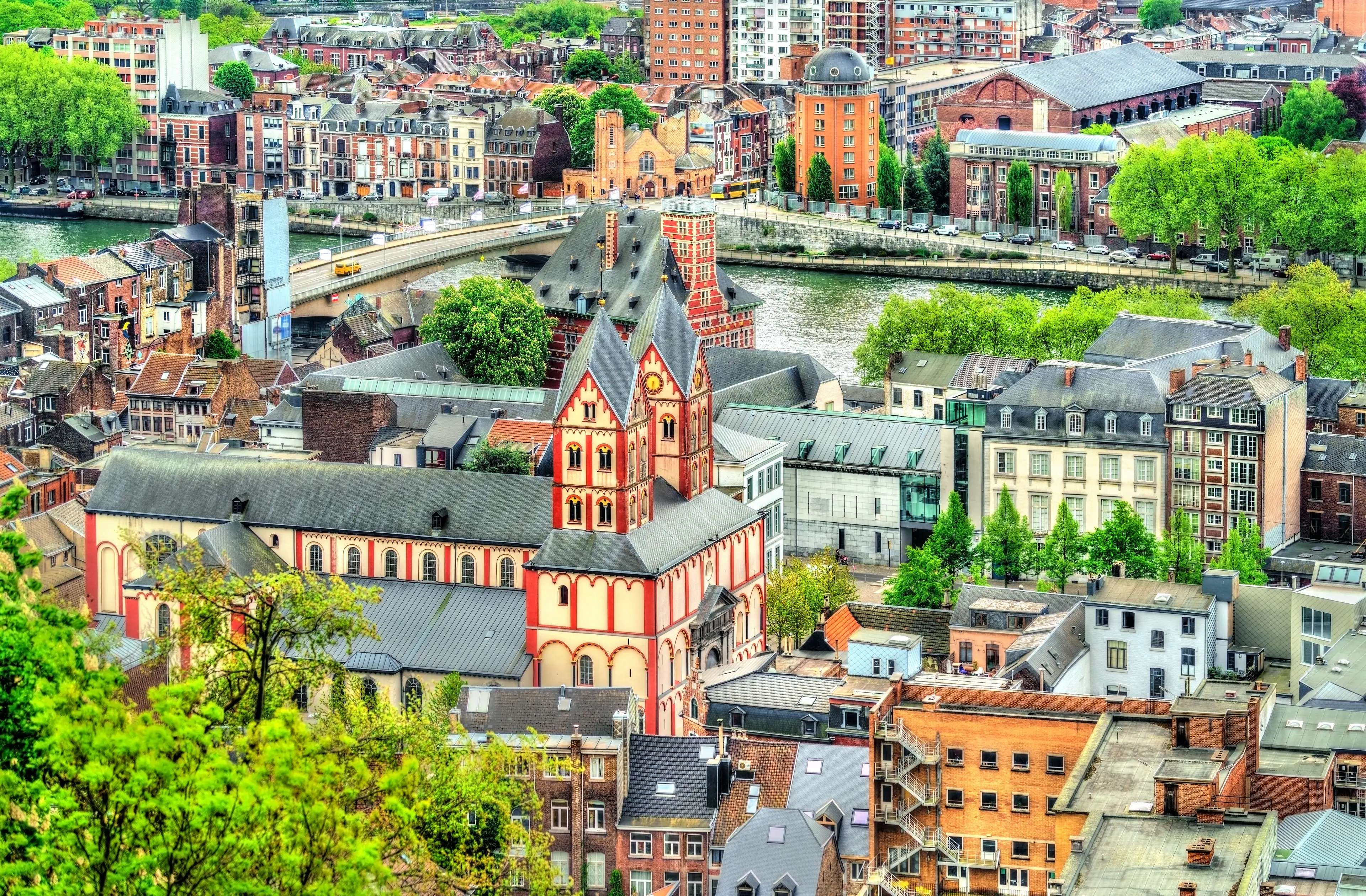 Panoramic view of the city of Liege, dominated by the Collegiate Church of St. Bartholomew