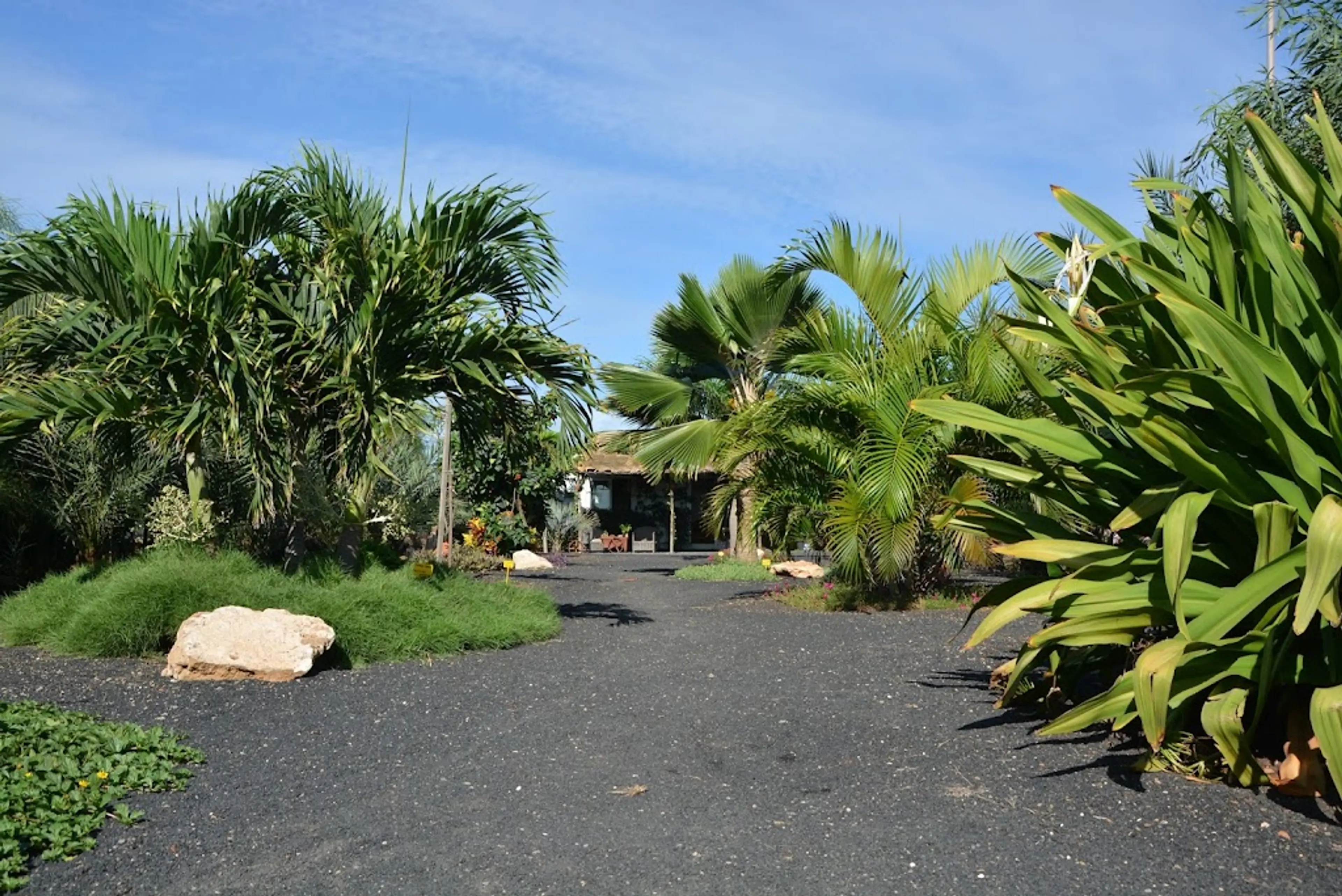 Volcanic Landscapes