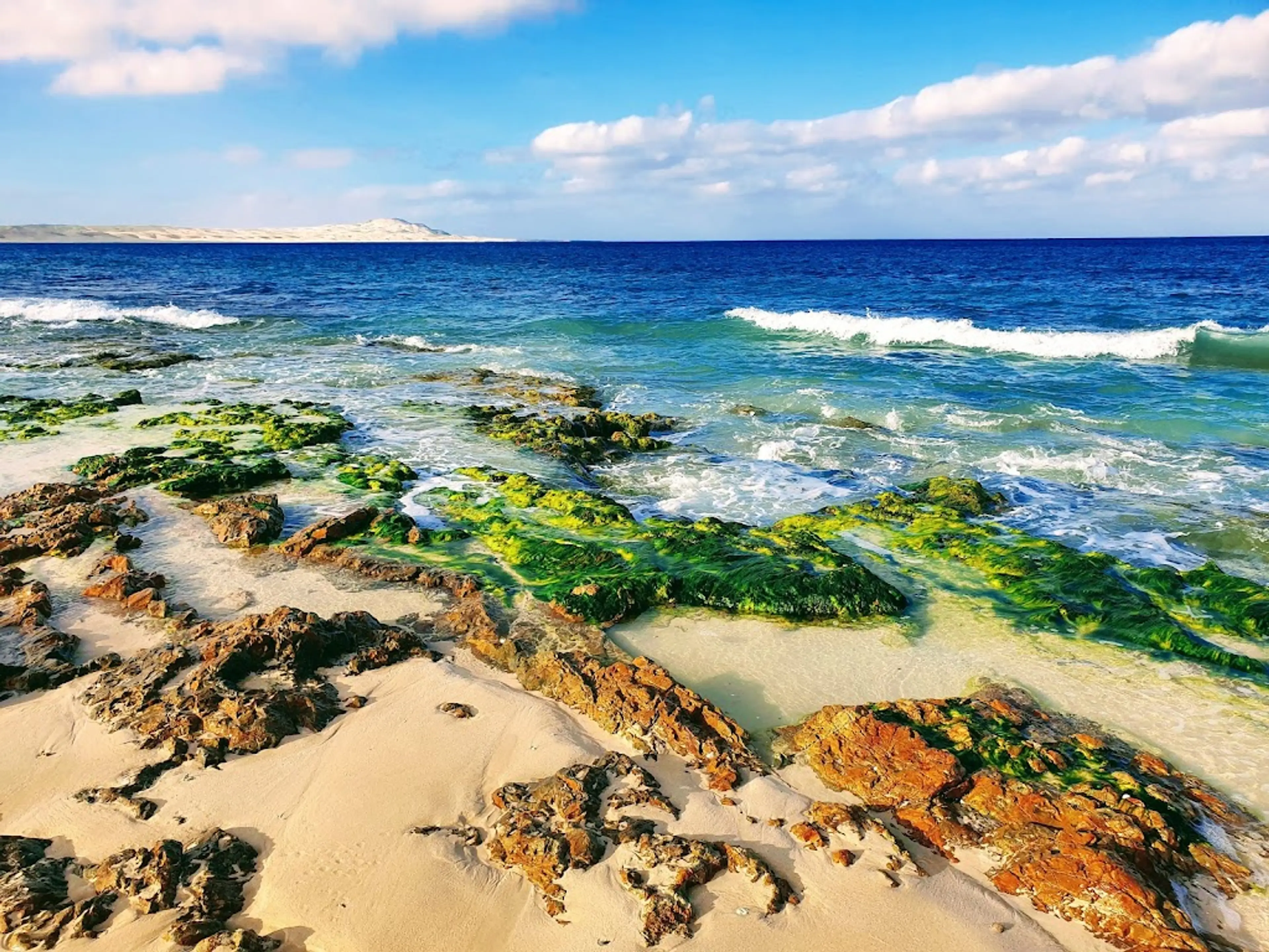 Windsurfing in Boa Vista