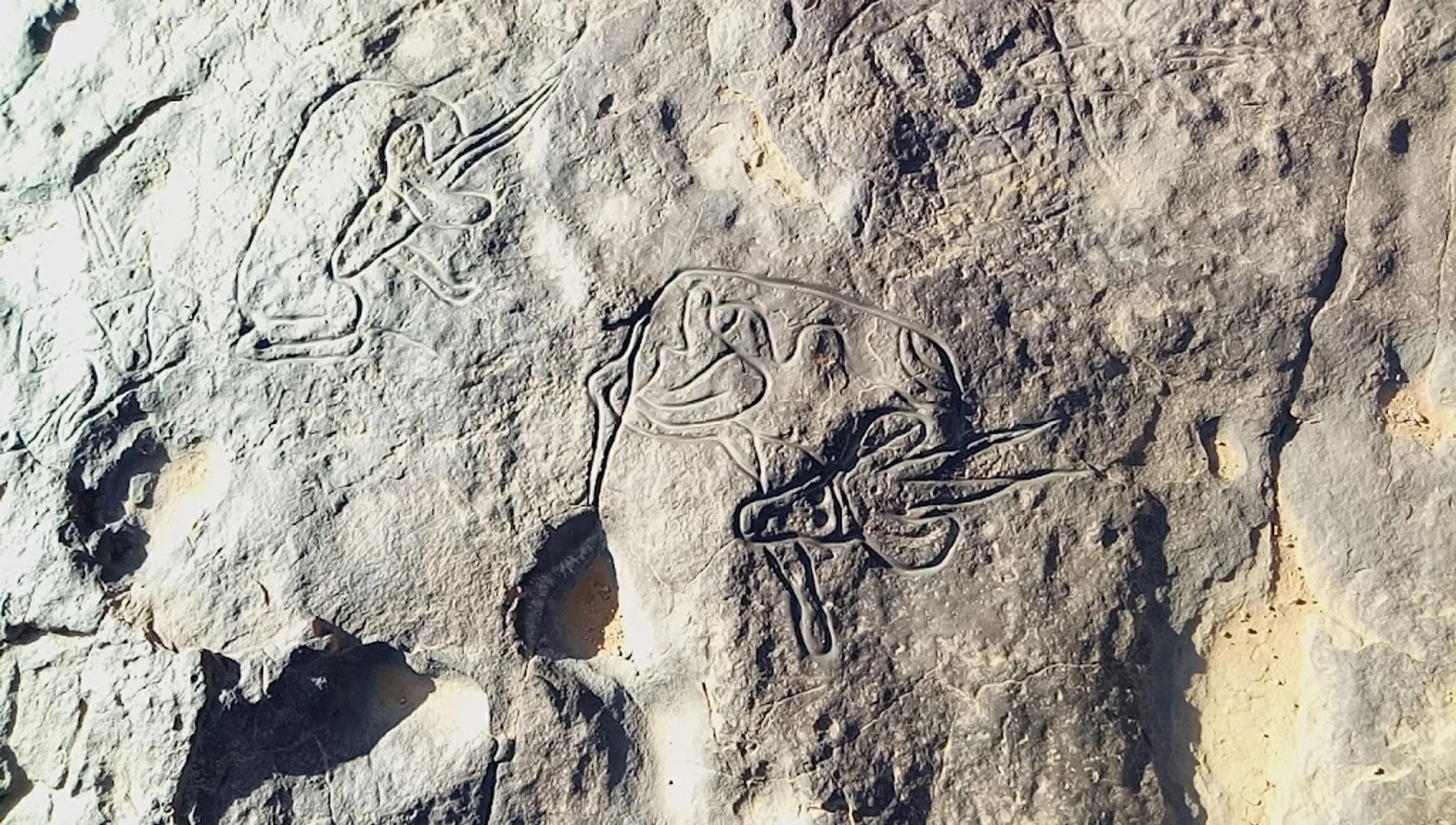 Rock Art of Tassili n’Ajjer