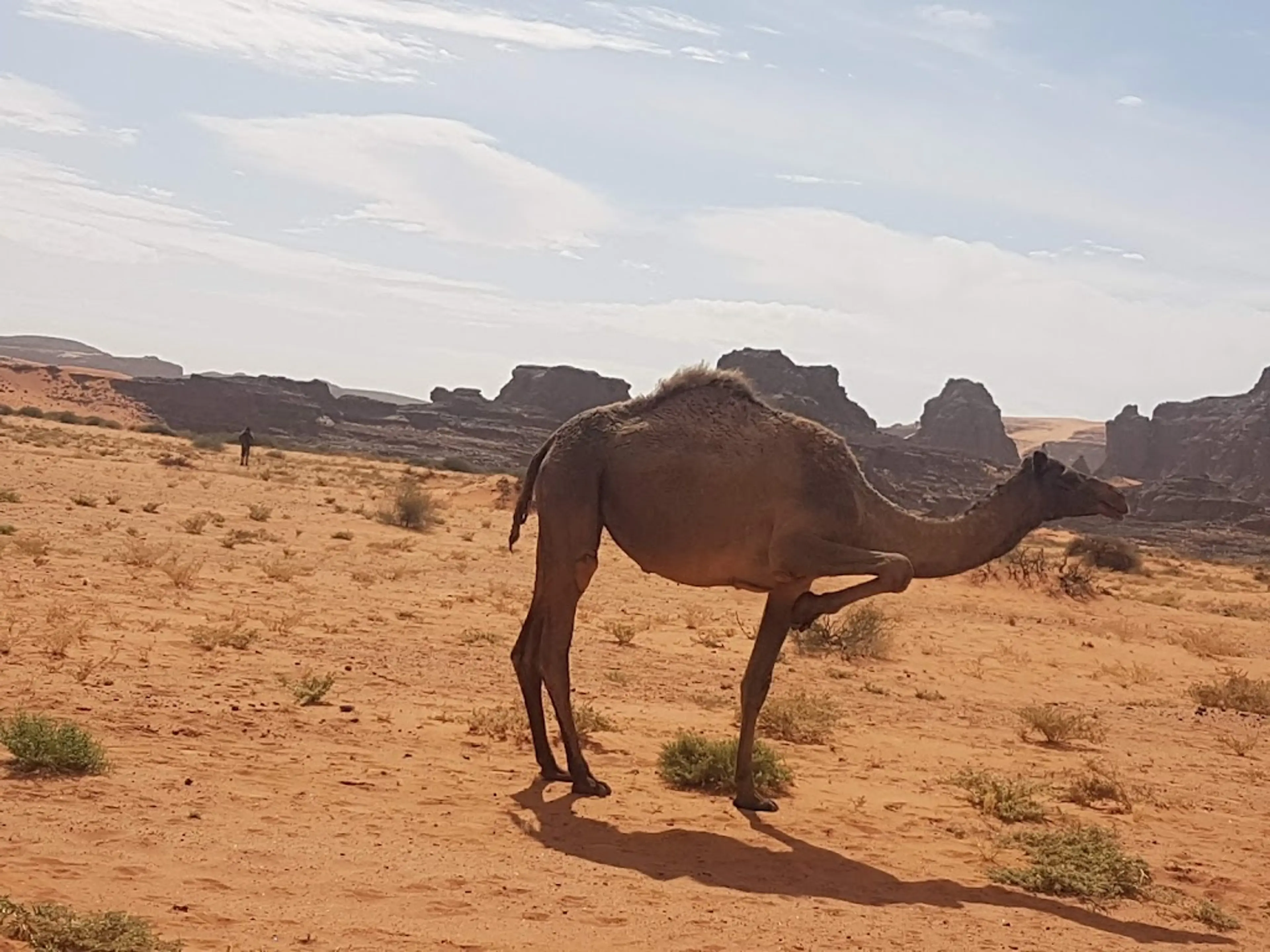 Tuareg Community Visit