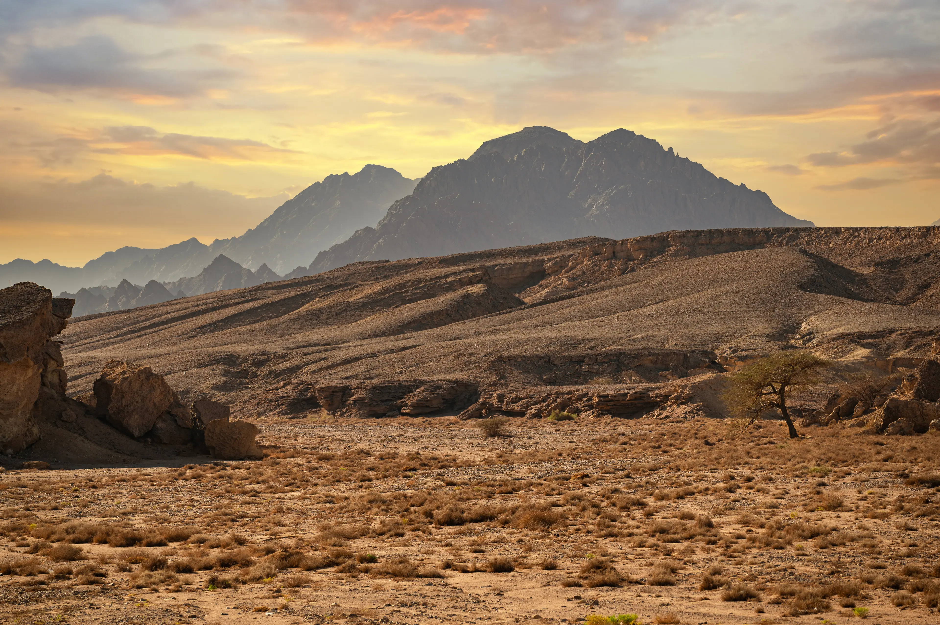 Mount Sinai