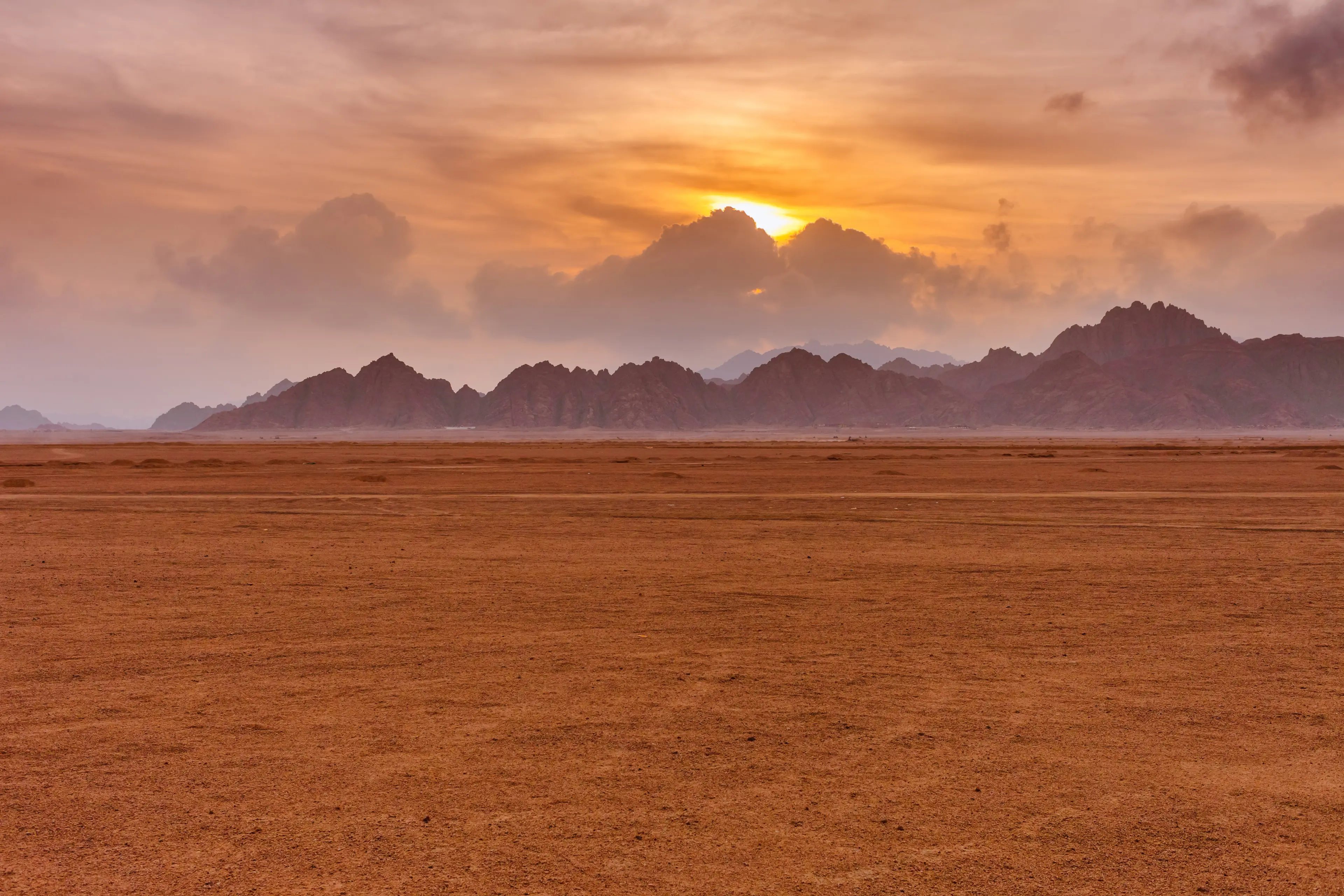 Sinai Desert