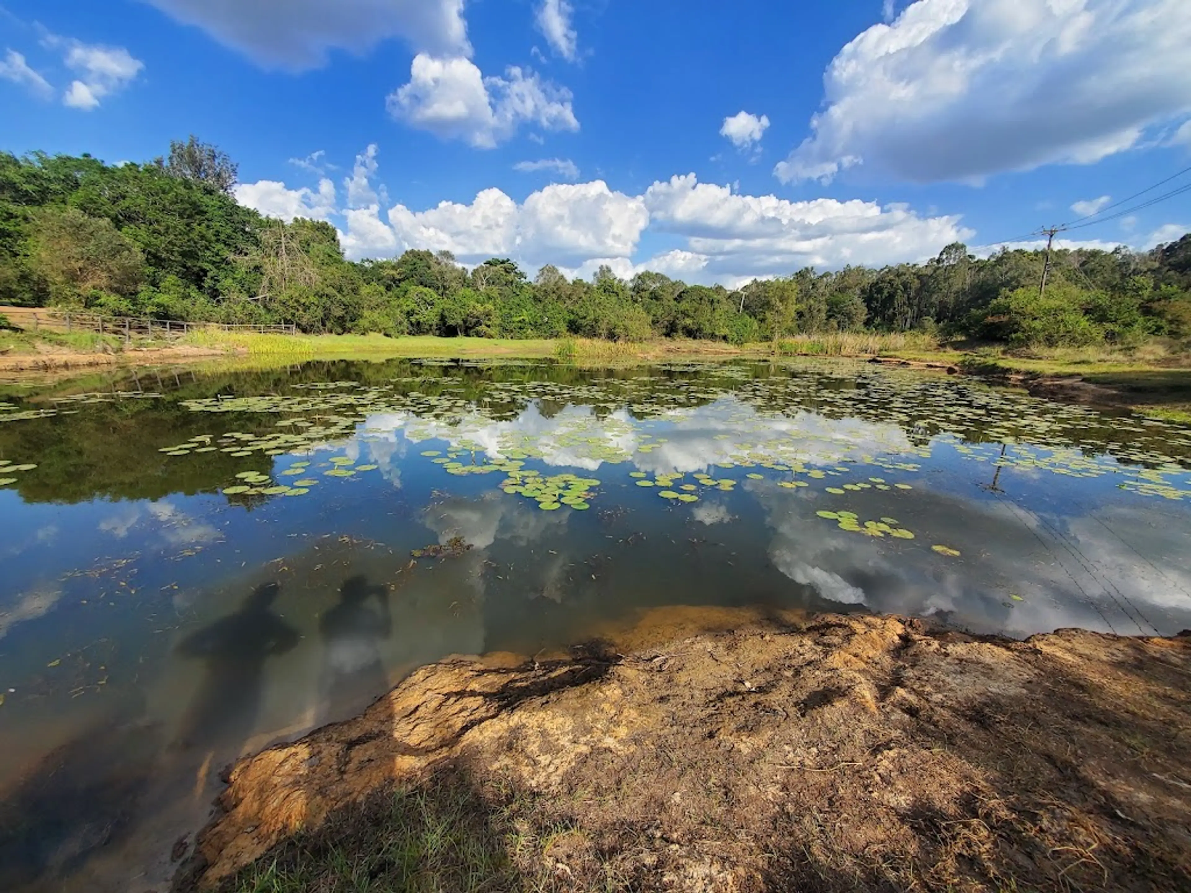 Karura Forest