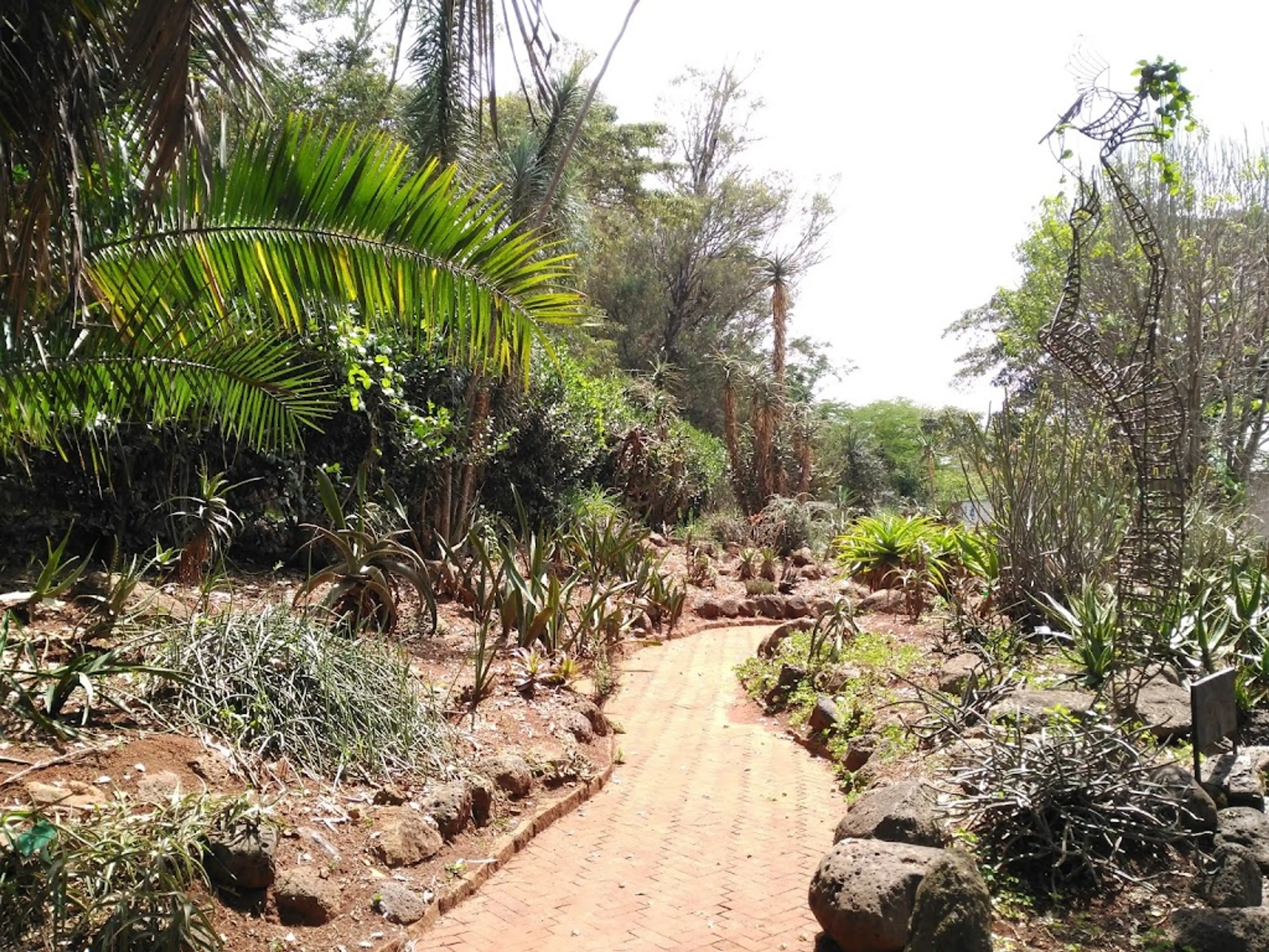 Nairobi National Botanic Garden