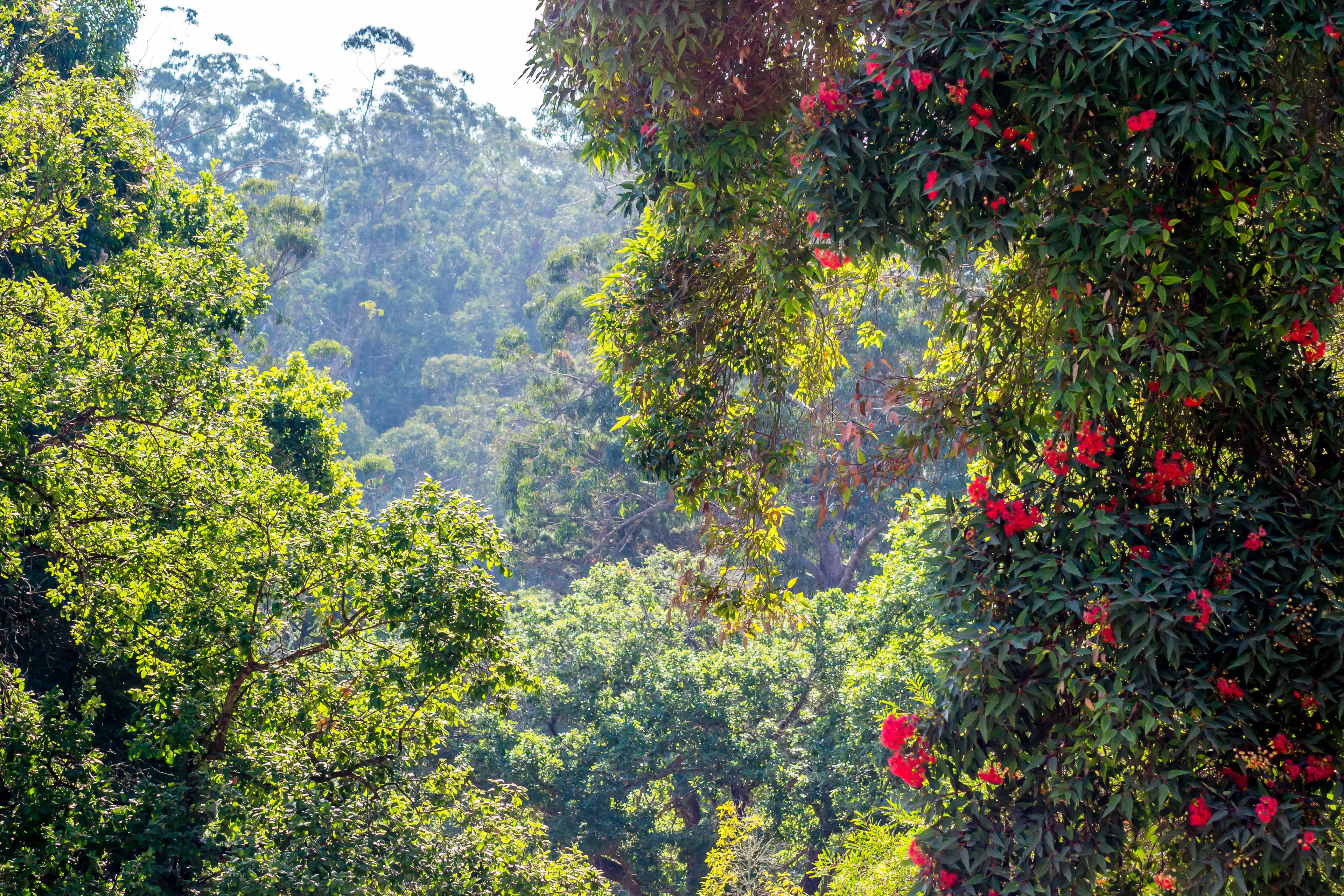 Rmilat Park