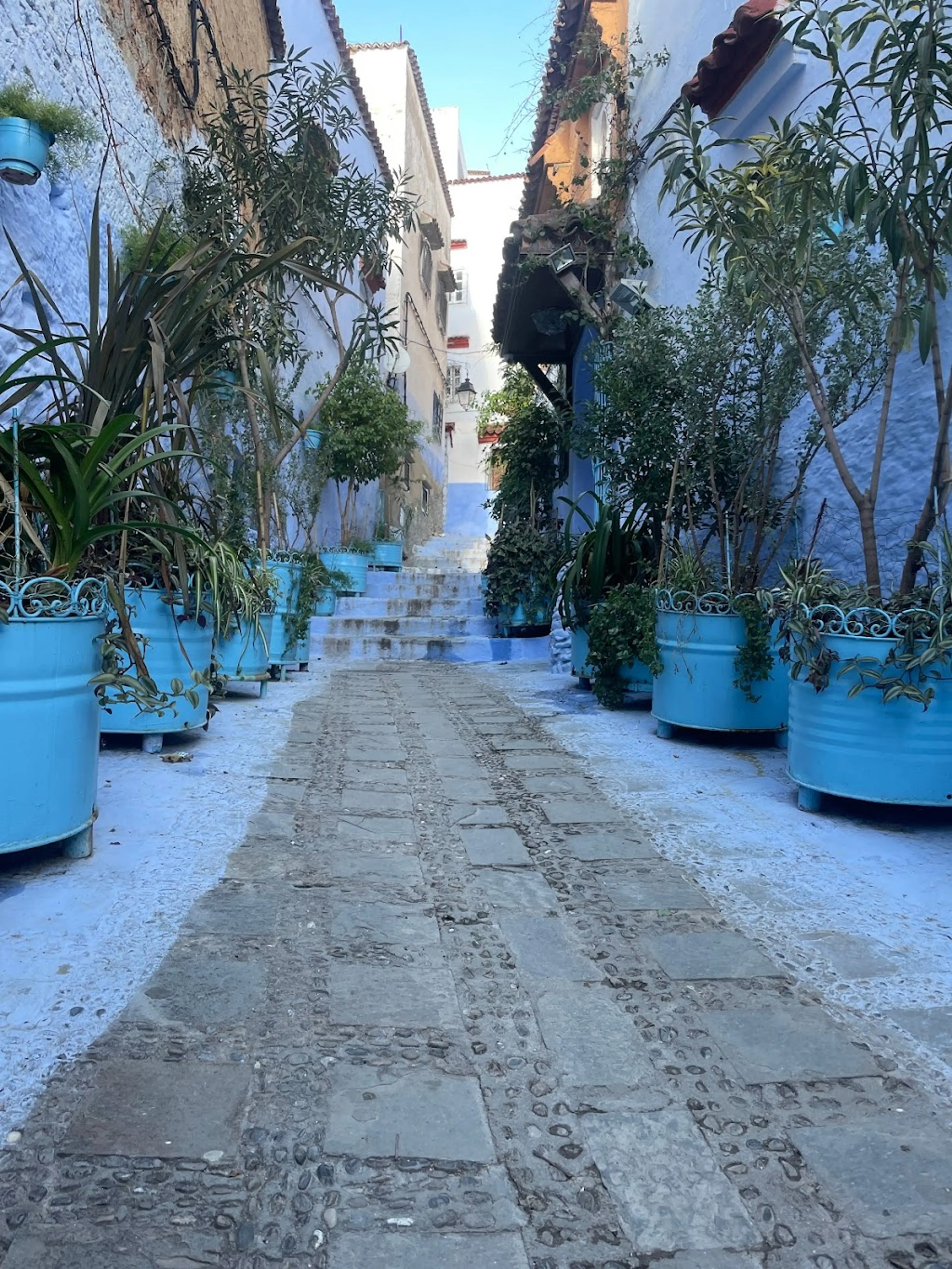 Medina