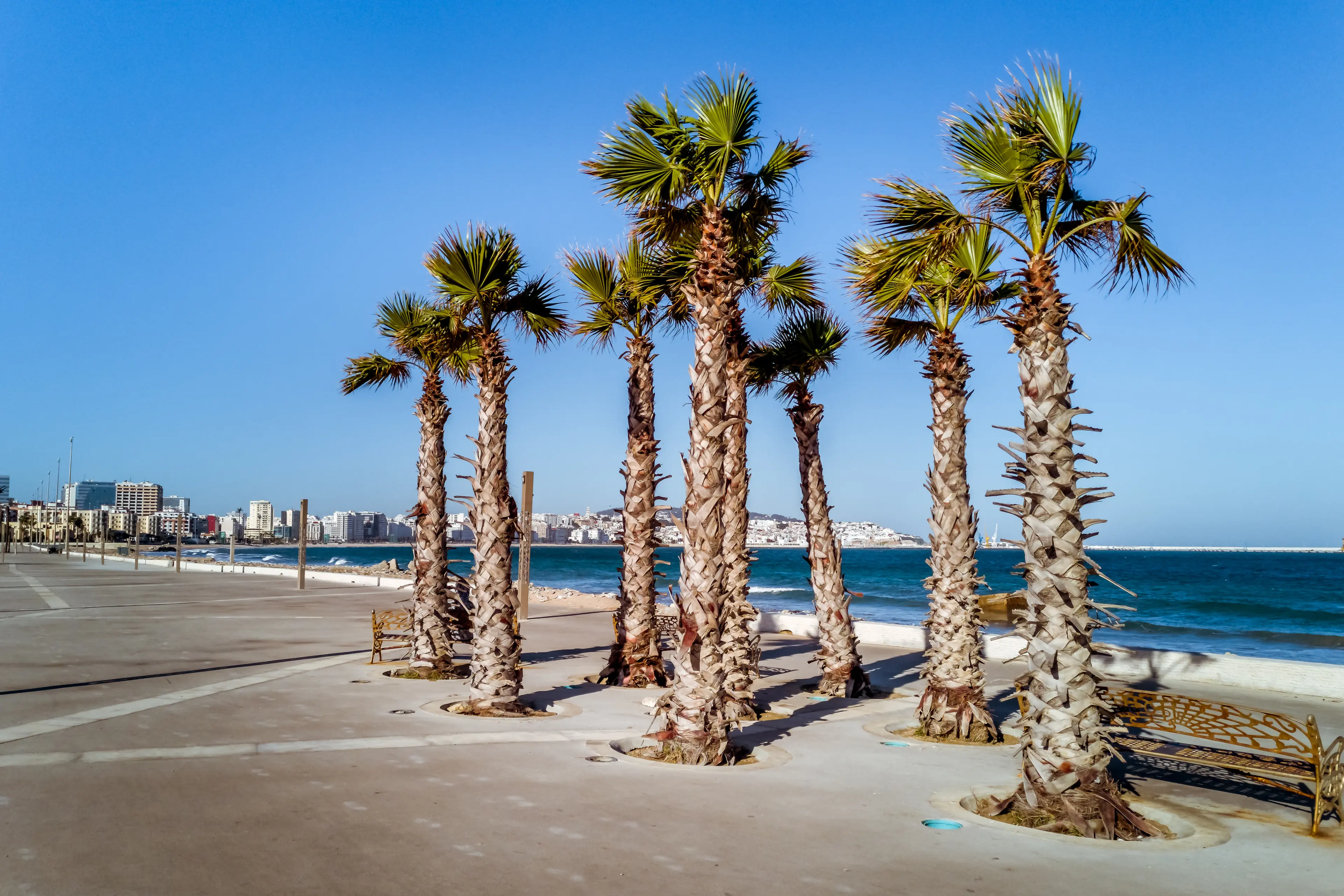 Beach Promenade