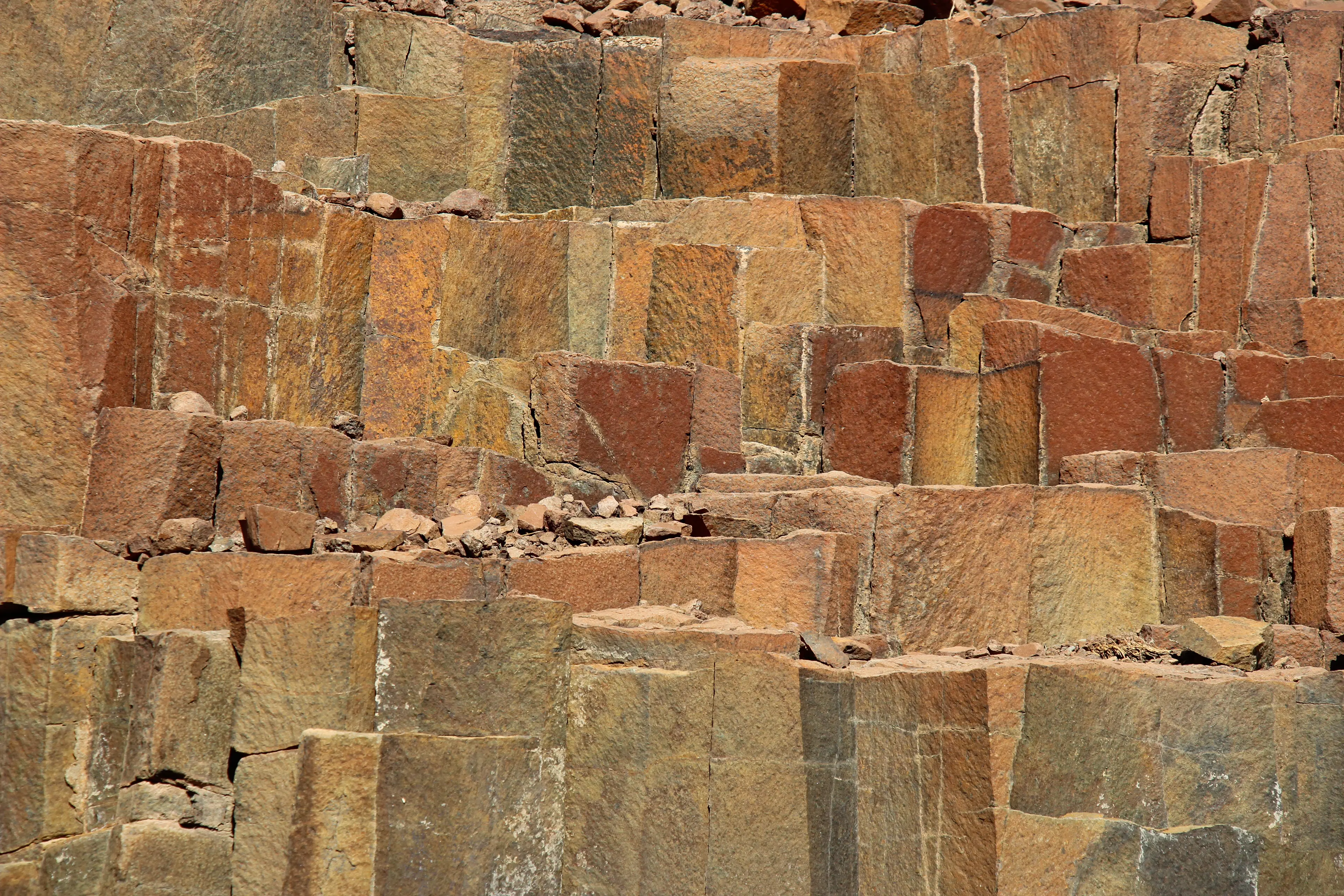 Organ Pipes