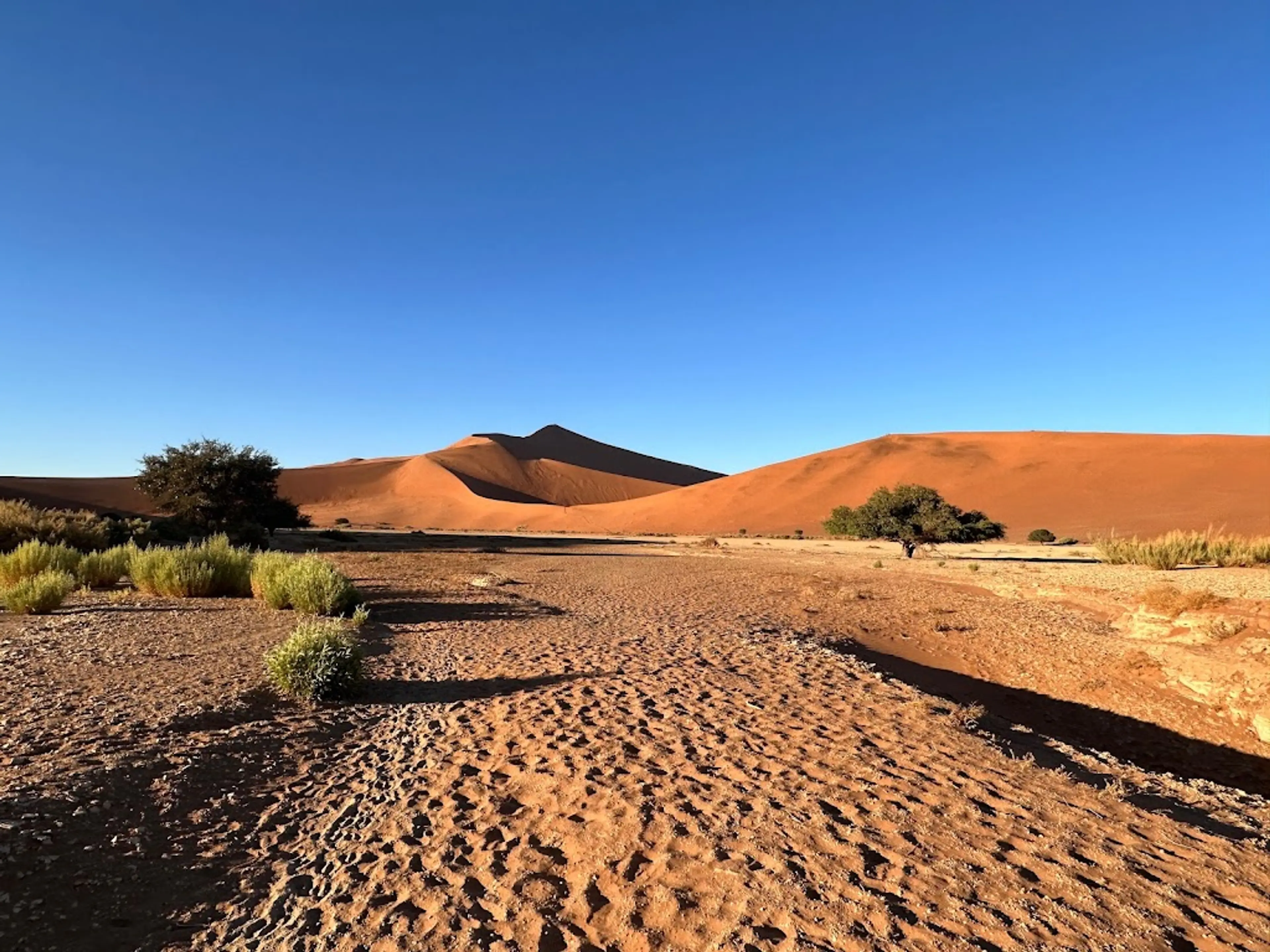Big Daddy Dune