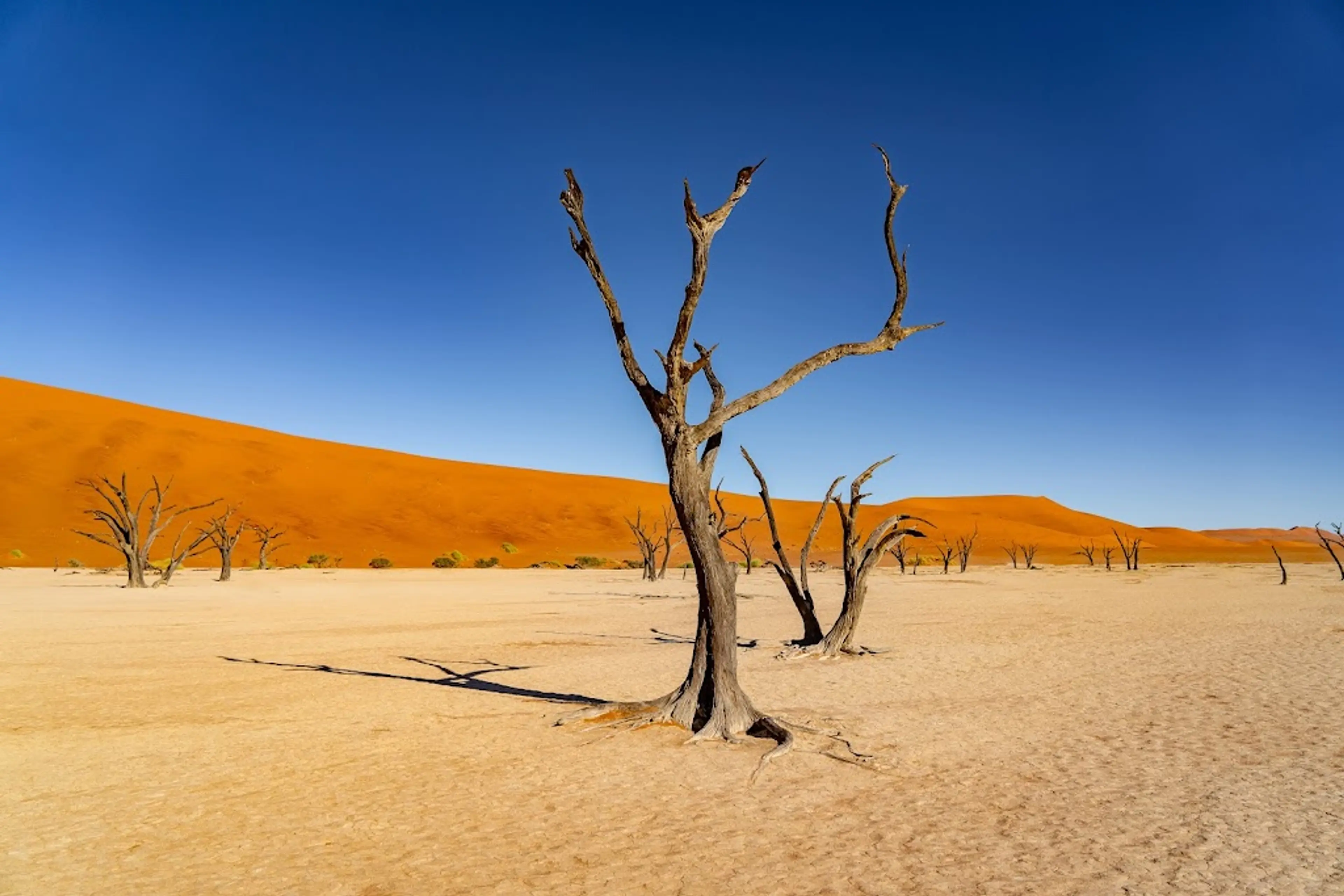 Deadvlei