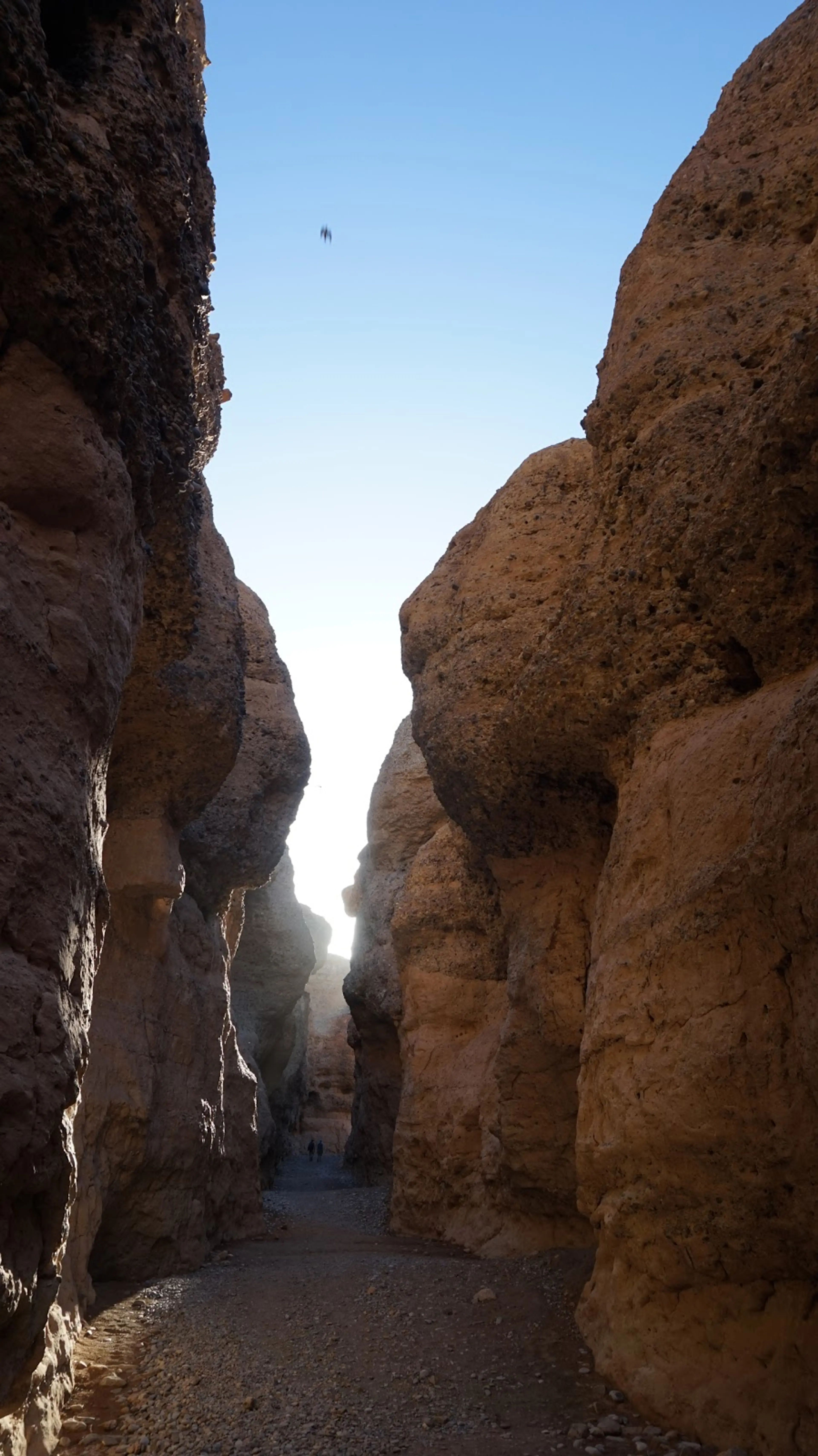 Exploring Sesriem Canyon