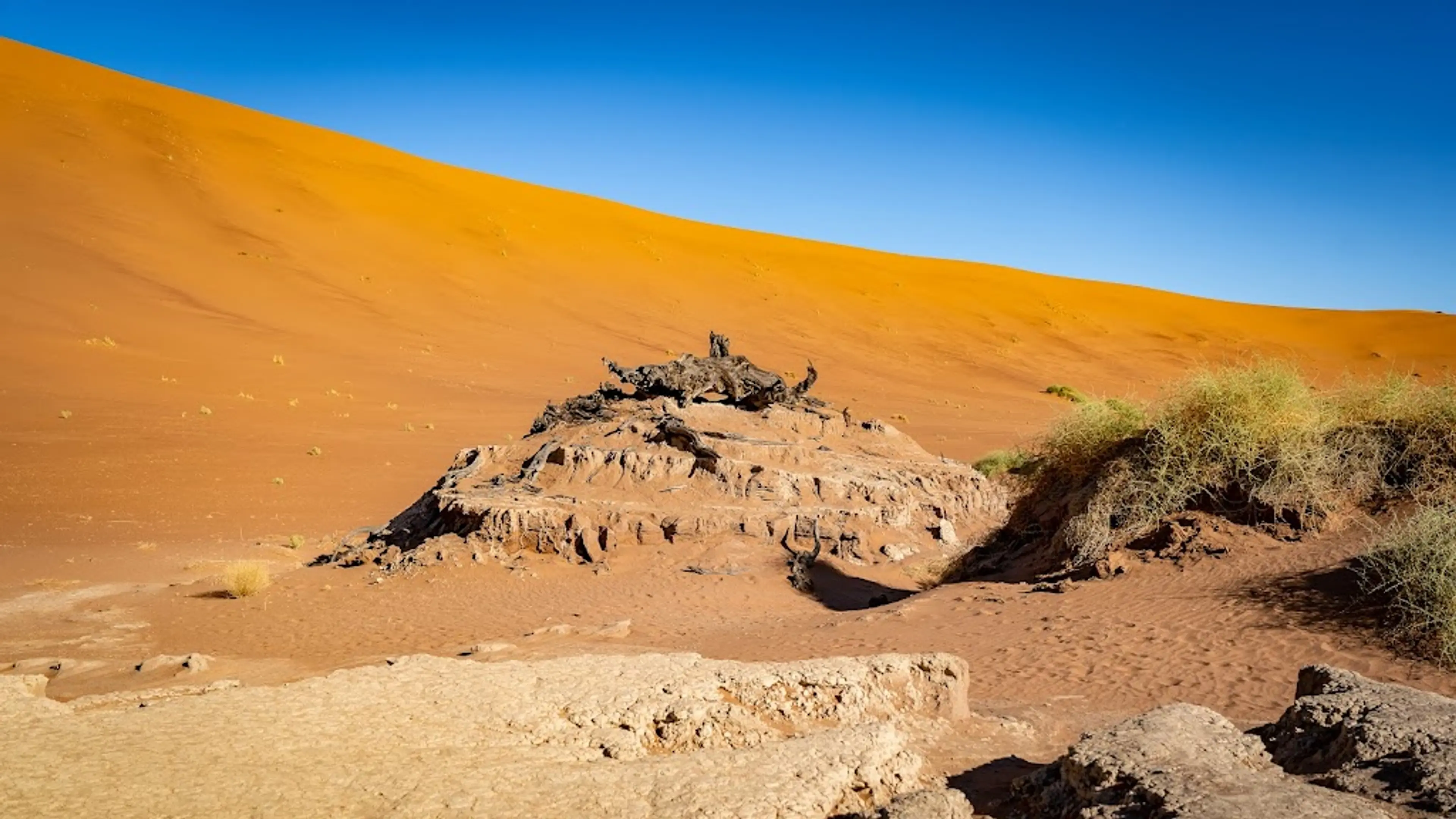 Night-time desert safari