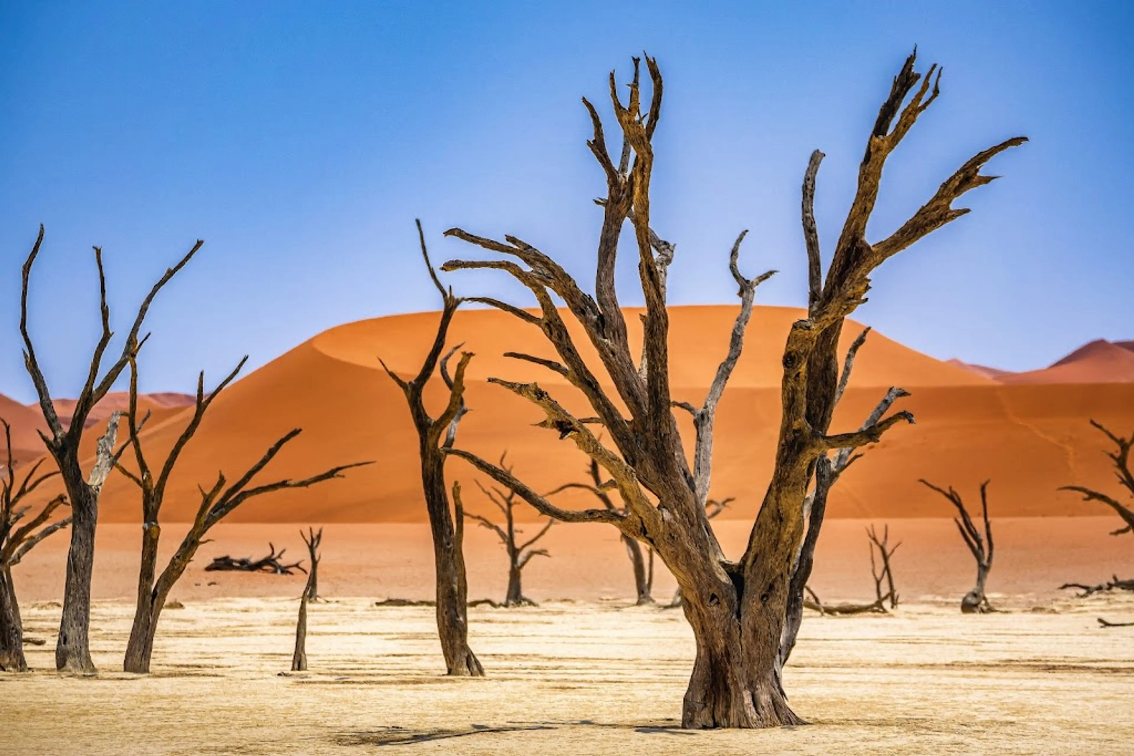 Sossusvlei