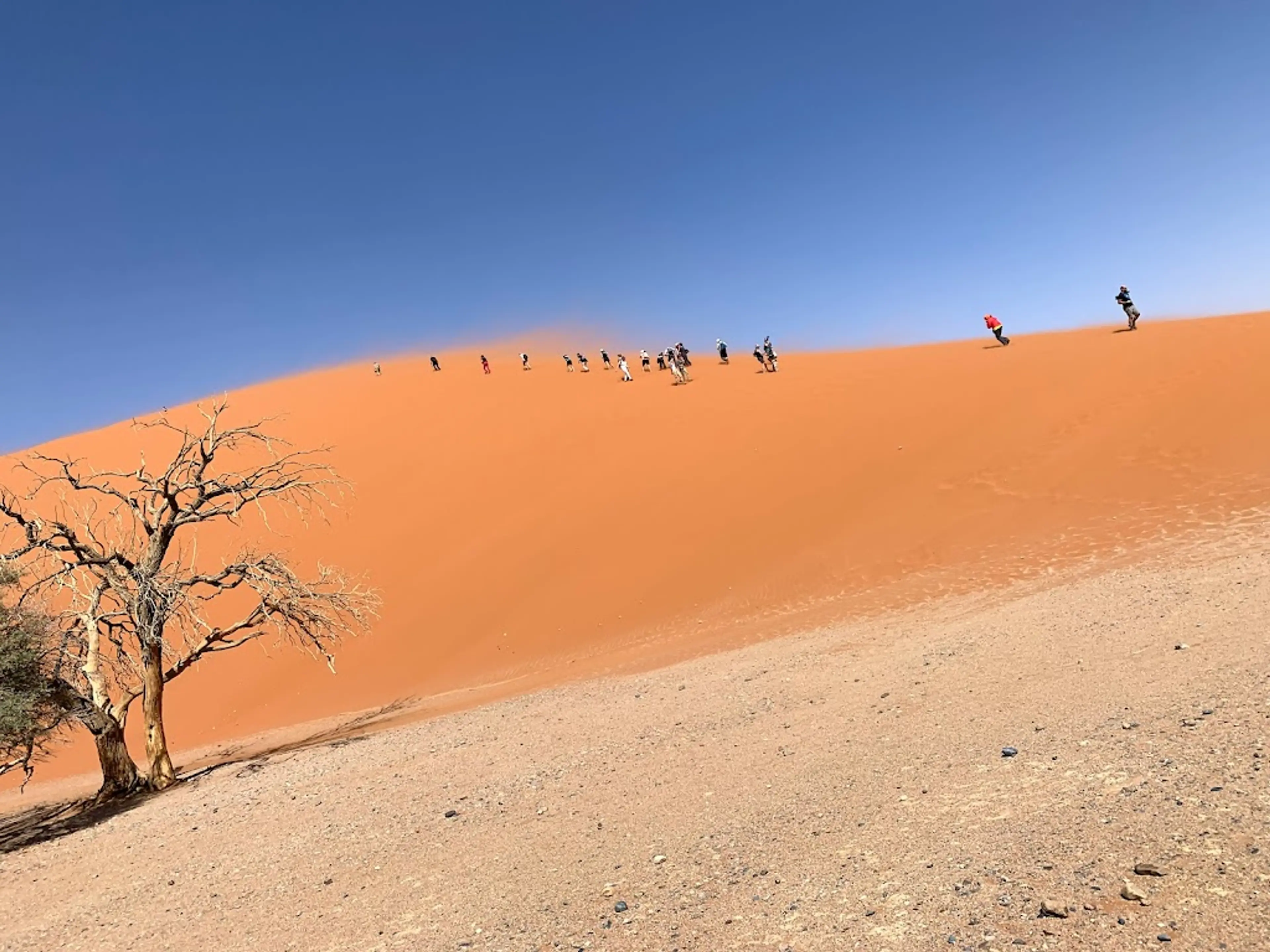 Sossusvlei Dunes