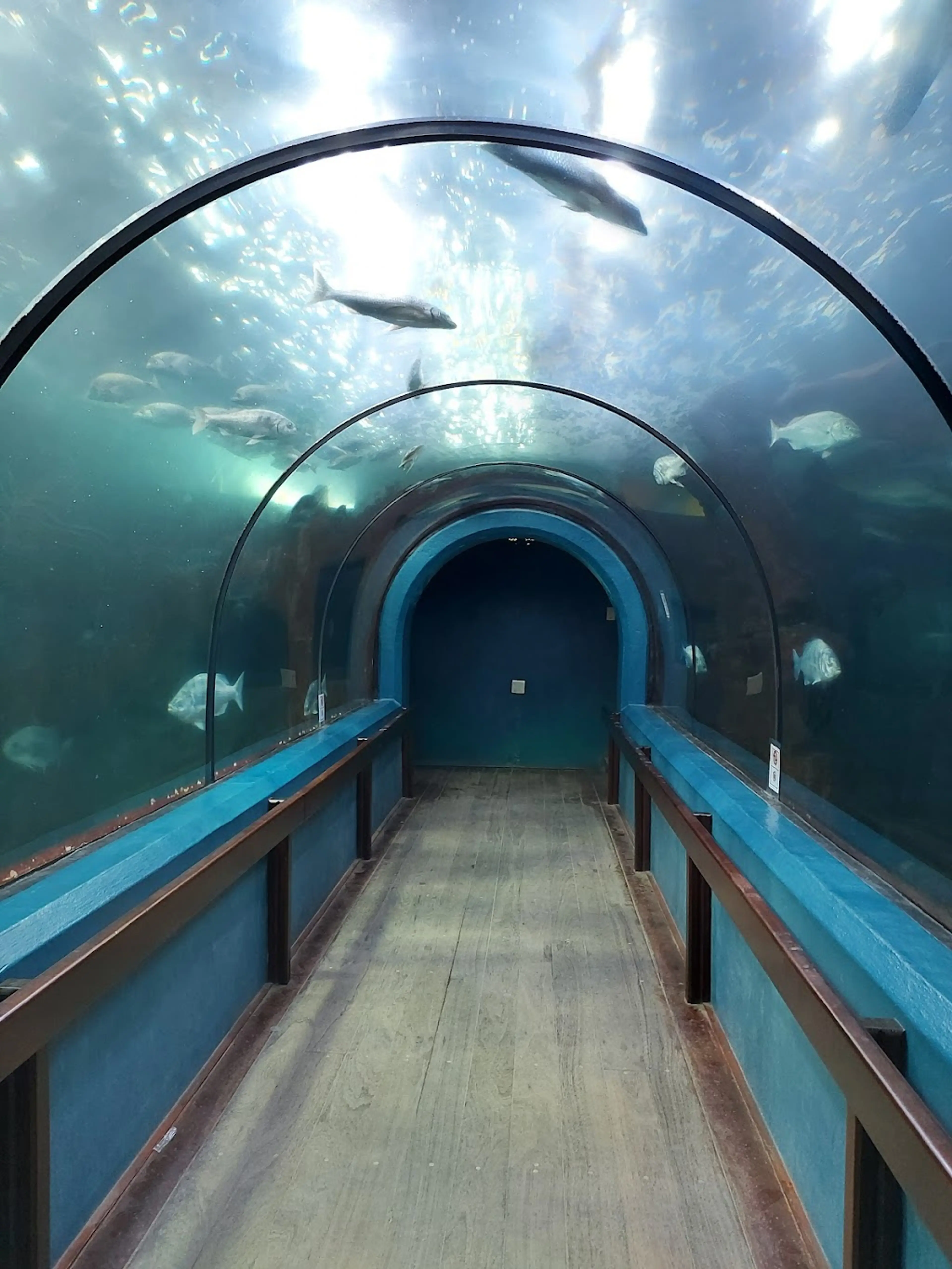 National Marine Aquarium