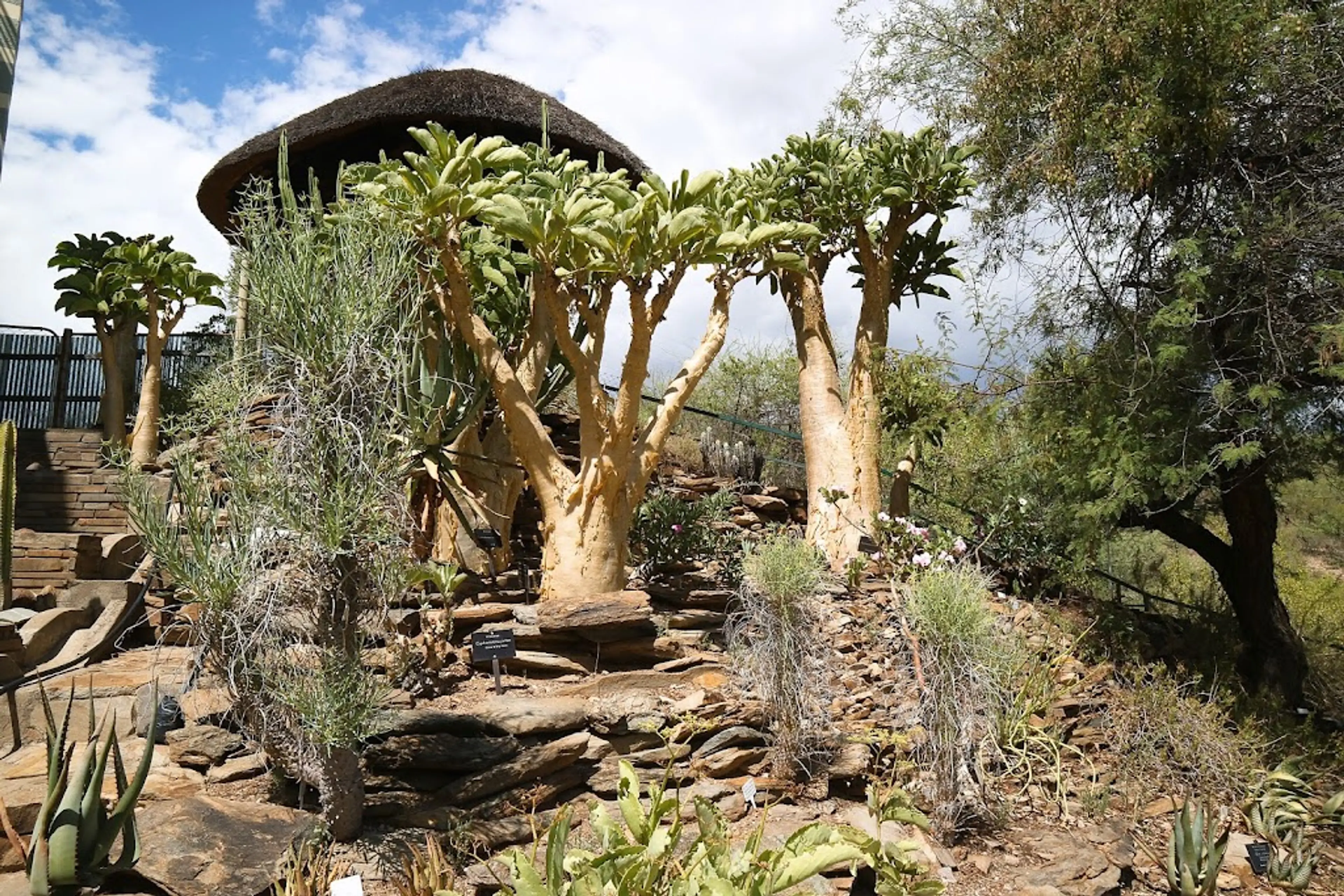 National Botanic Garden of Namibia