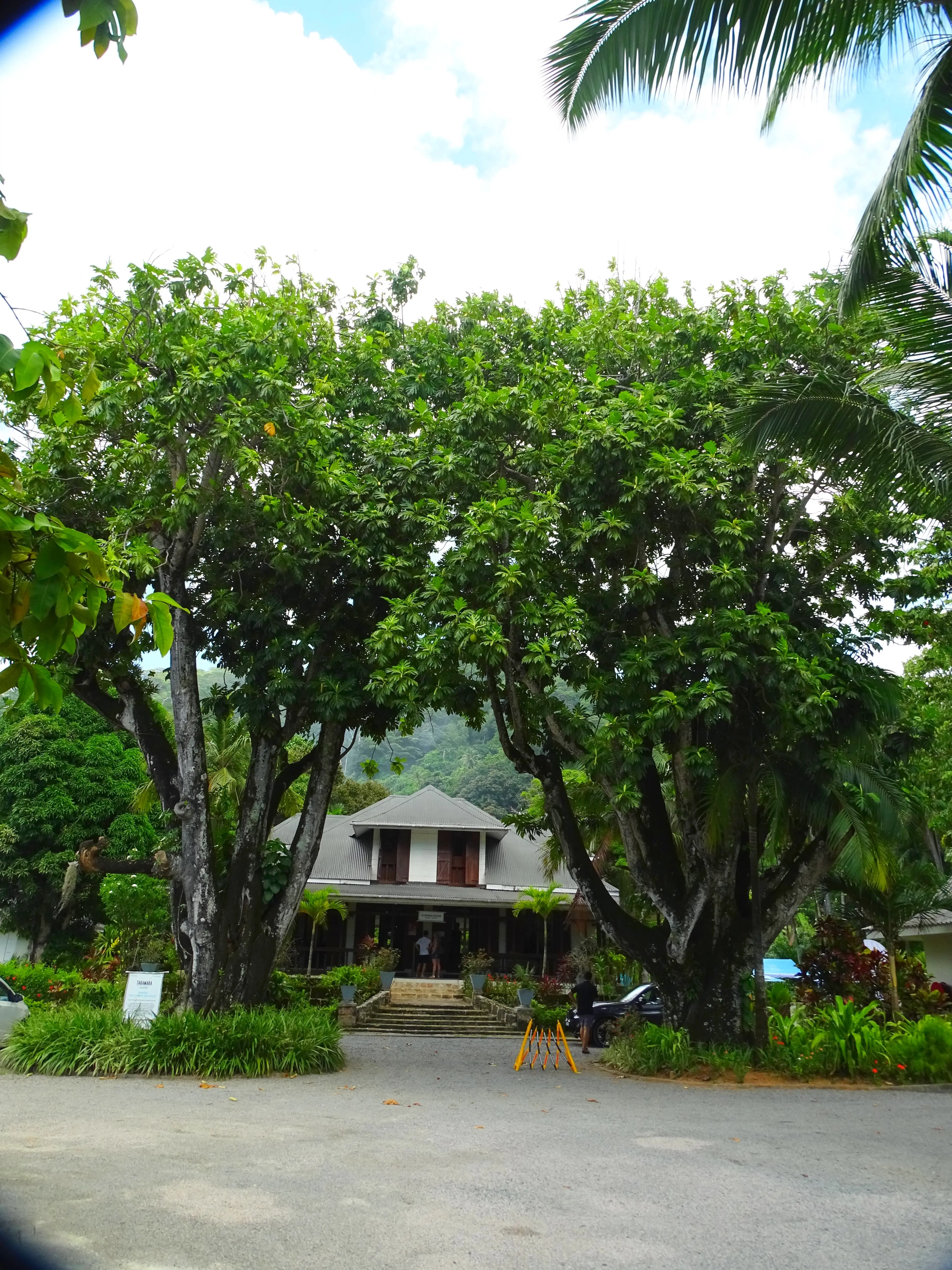 Rum Distillery