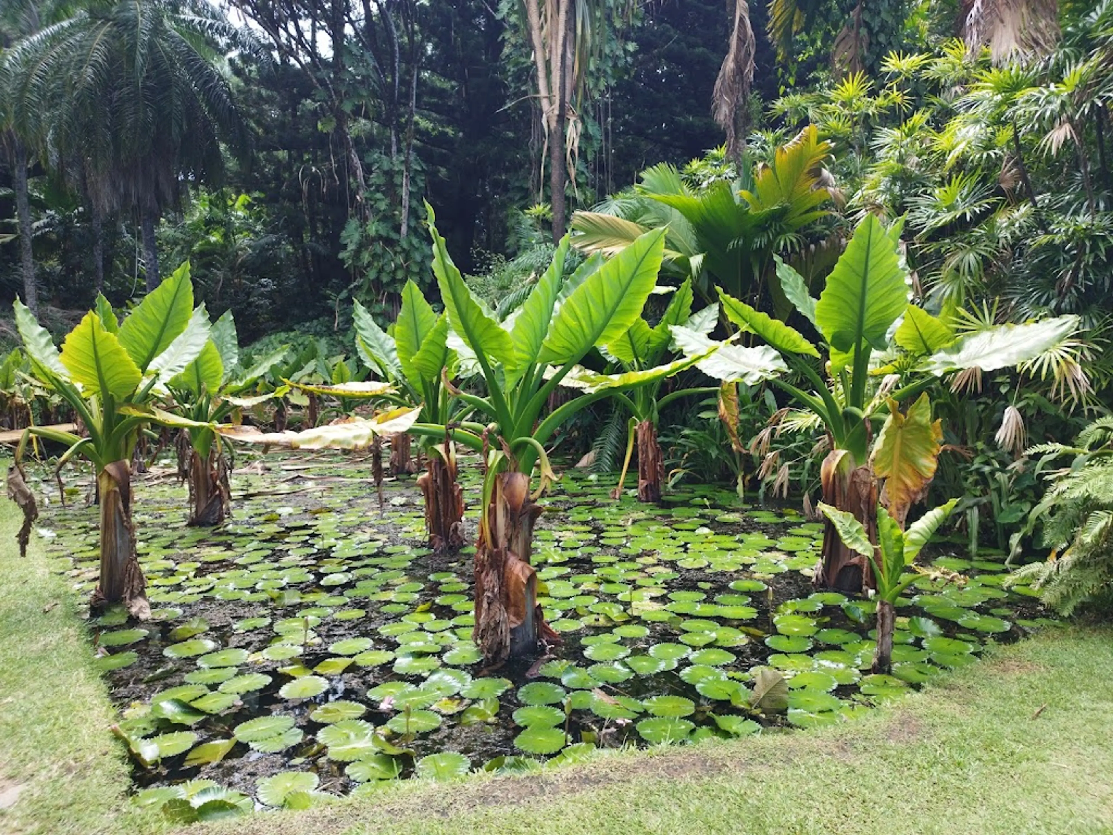 Botanical Garden