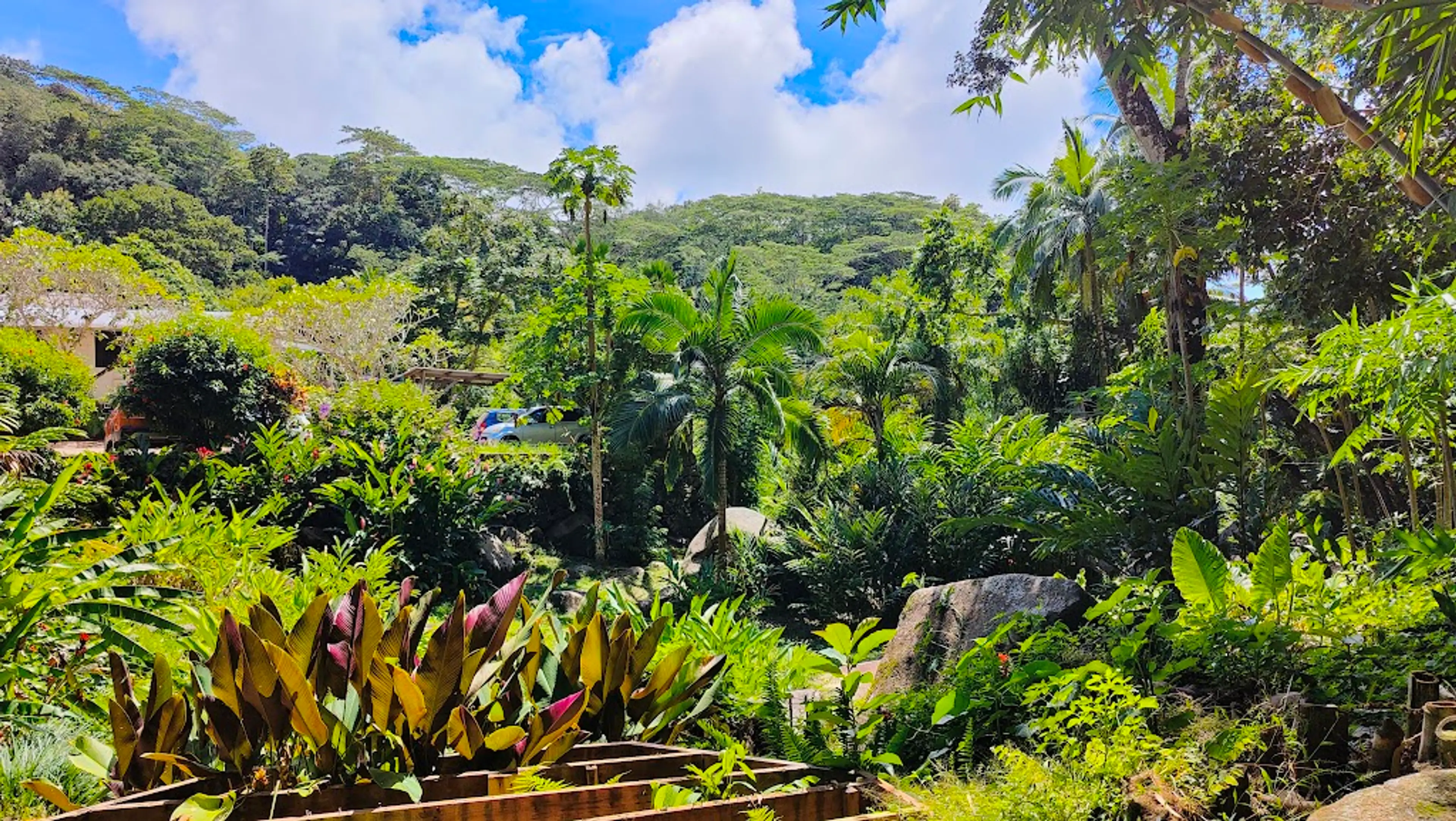 Jardin du Roi Spice Garden