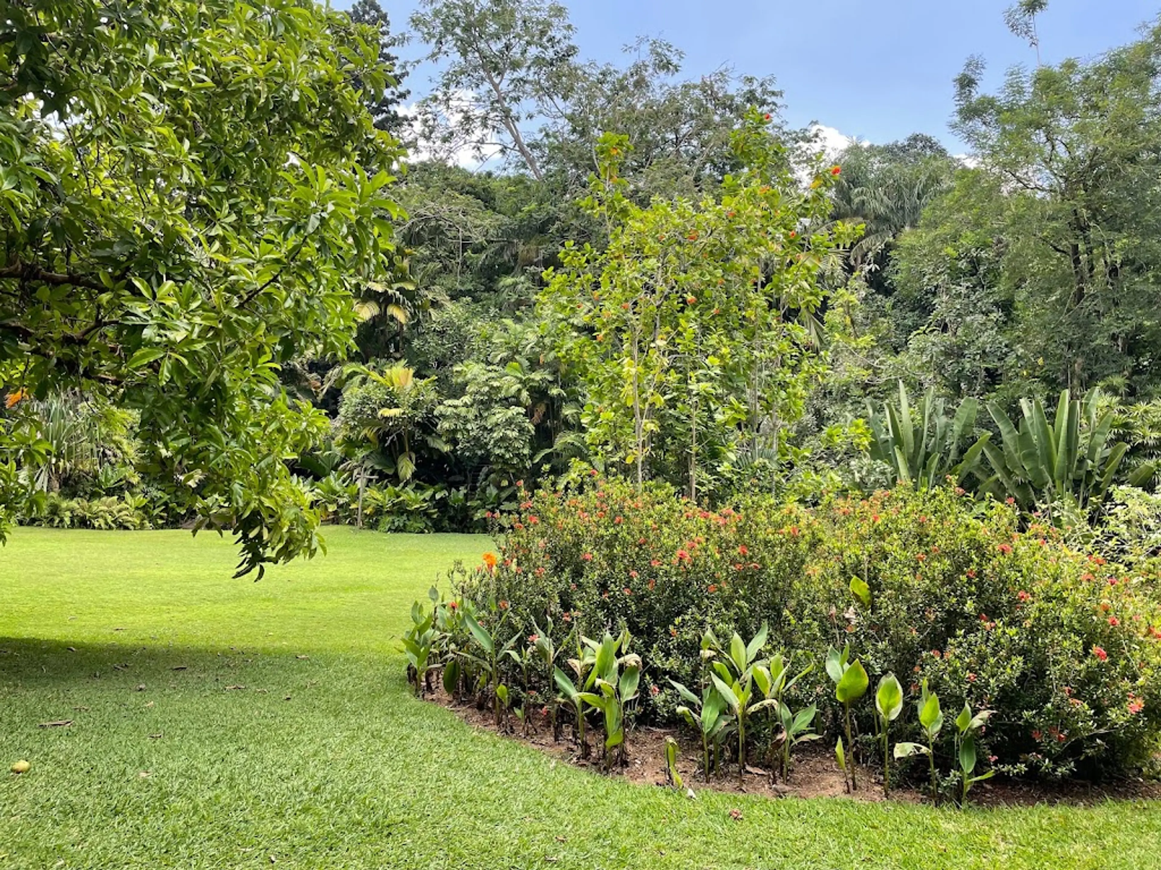 Seychelles National Botanical Gardens