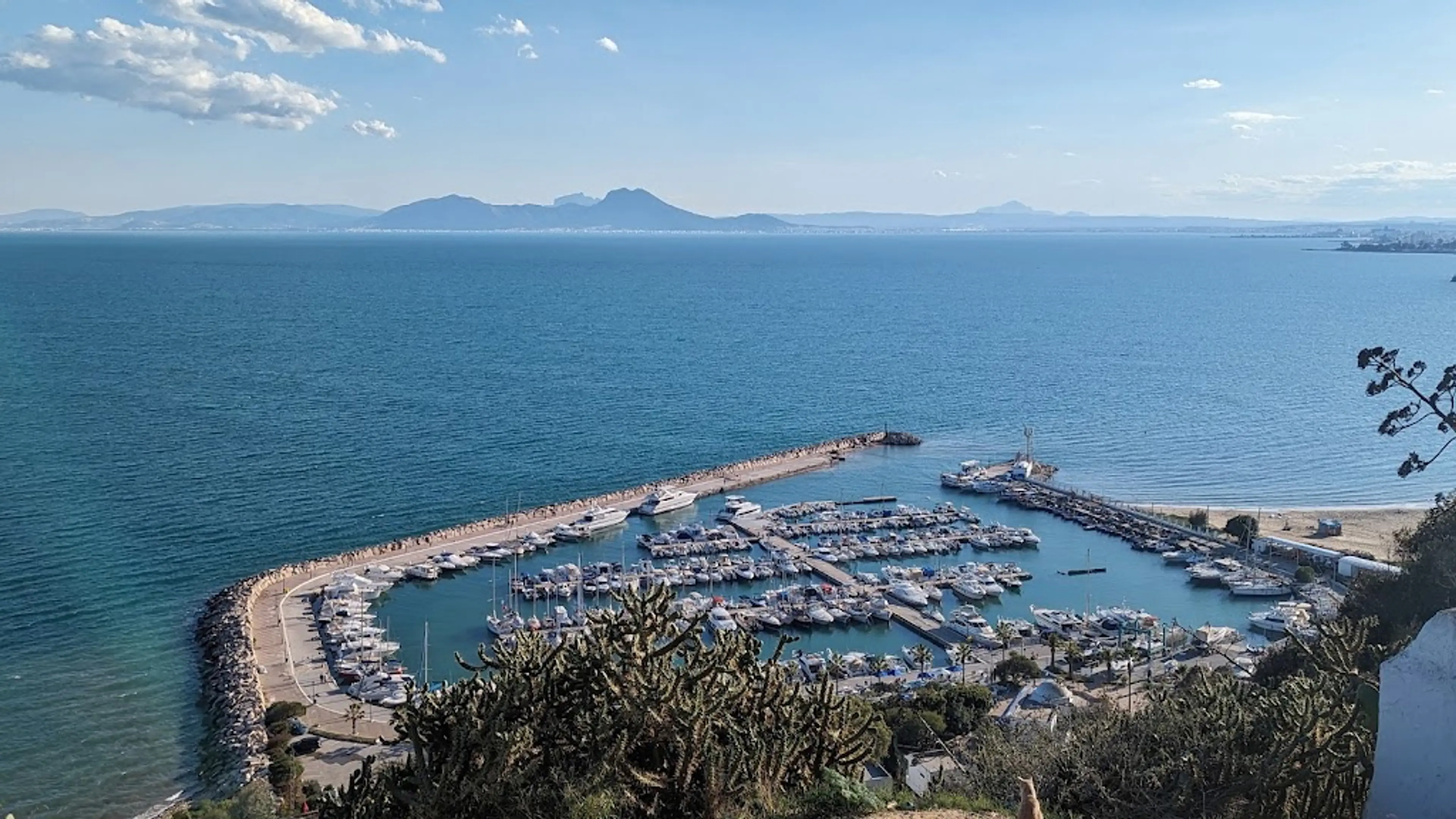 Marina