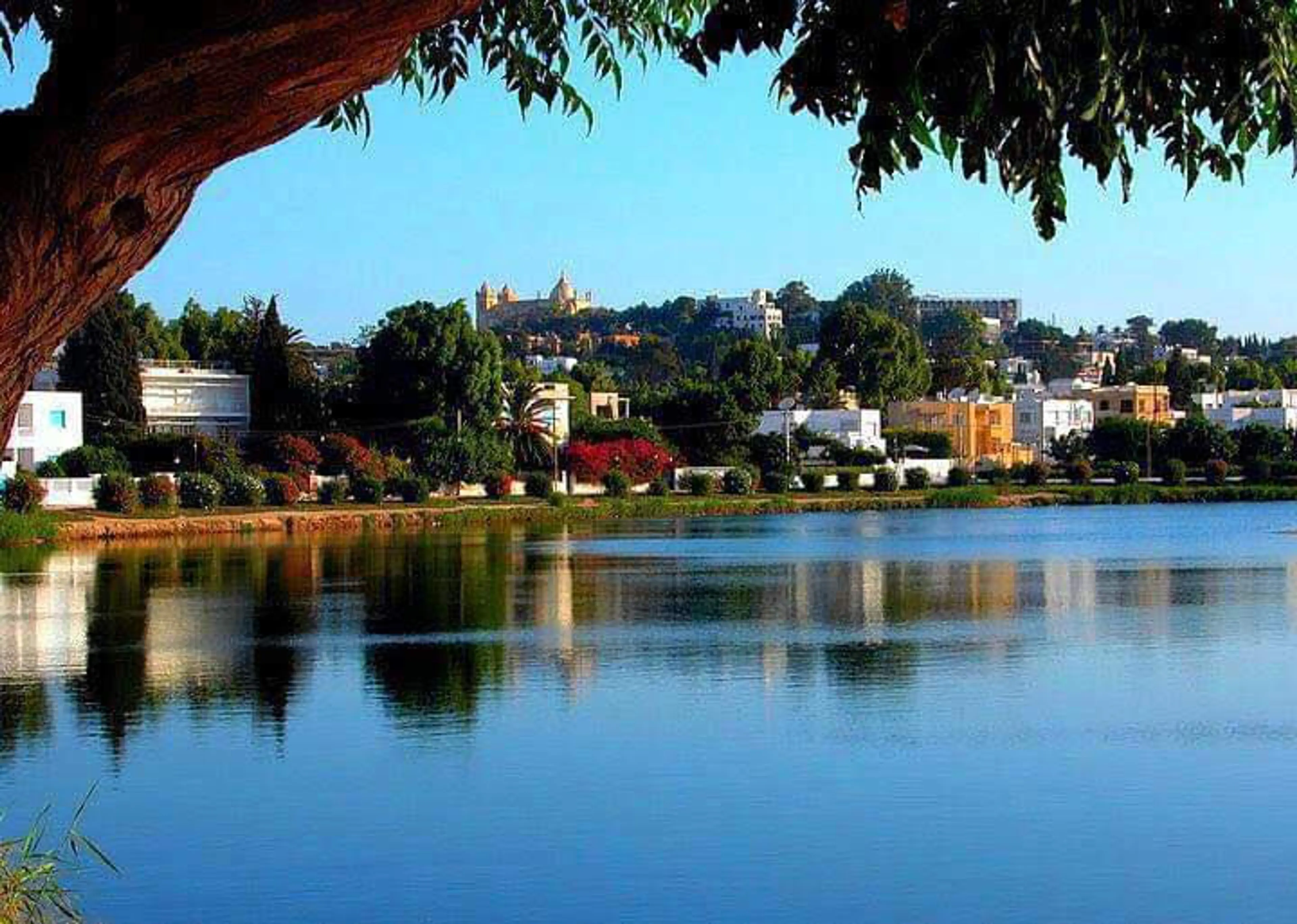 Punic ports