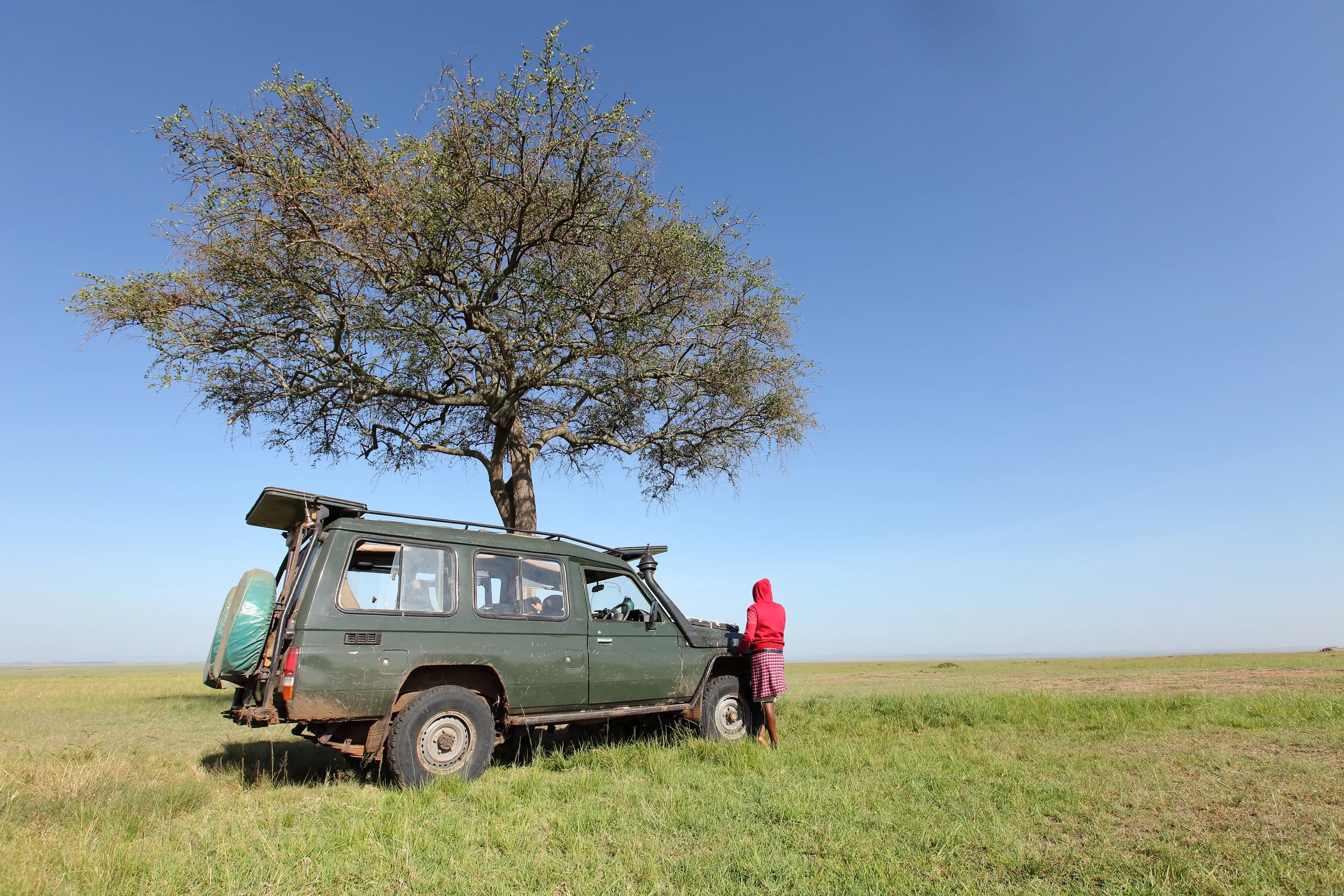 Guided Game Drive