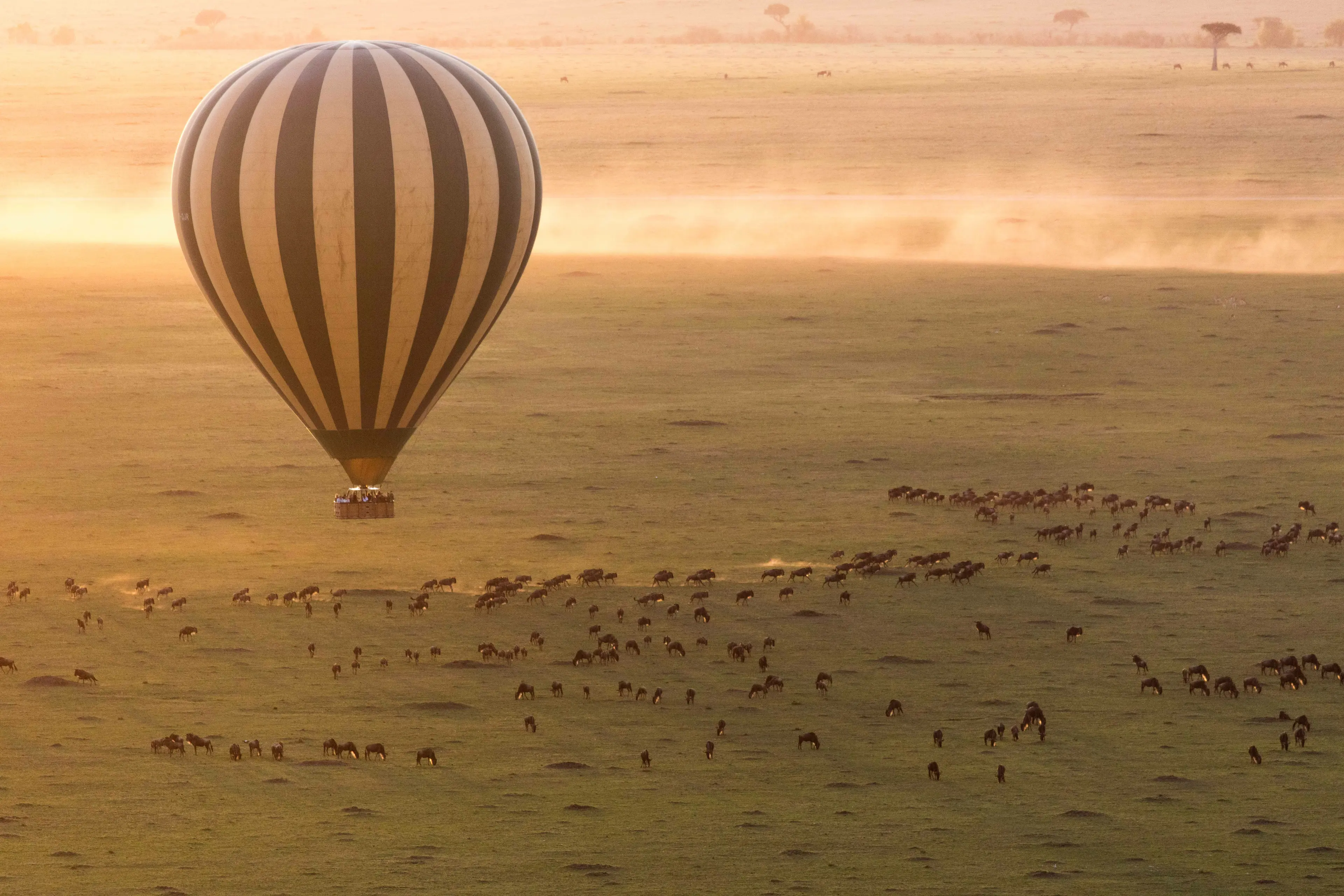 Hot air balloon ride over the Serengeti