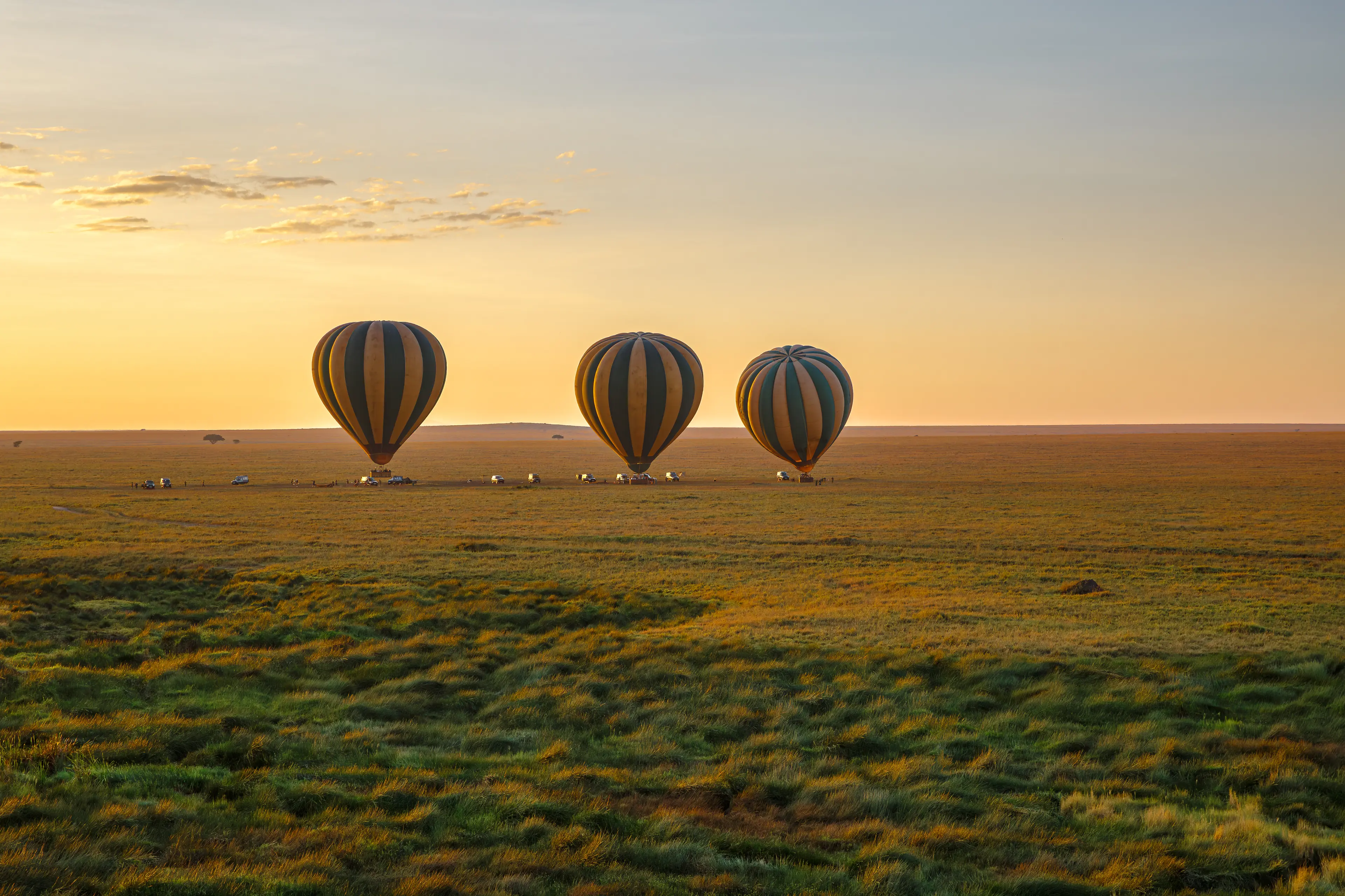 Sunrise hot air balloon safari