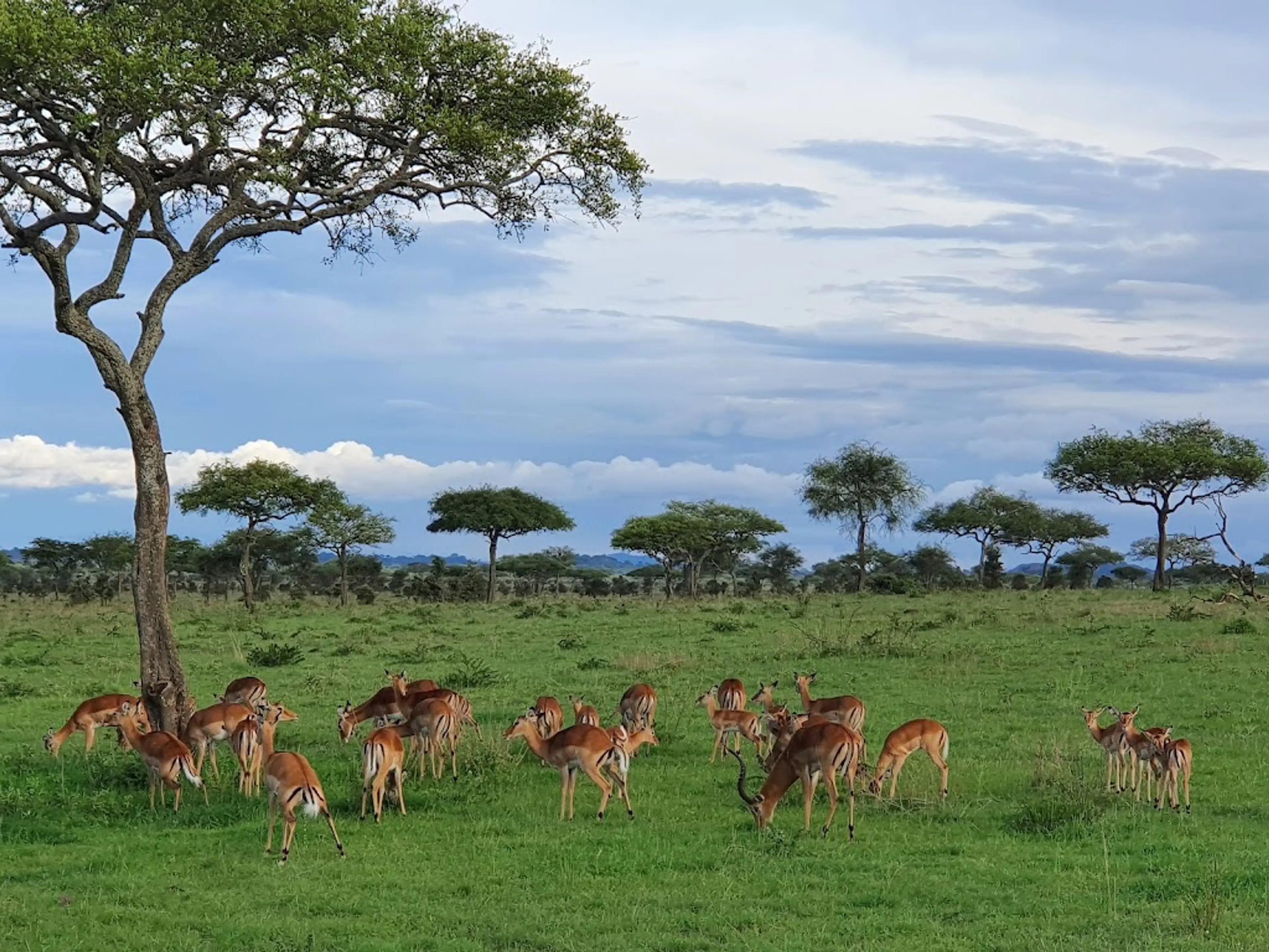 Guided nature walk