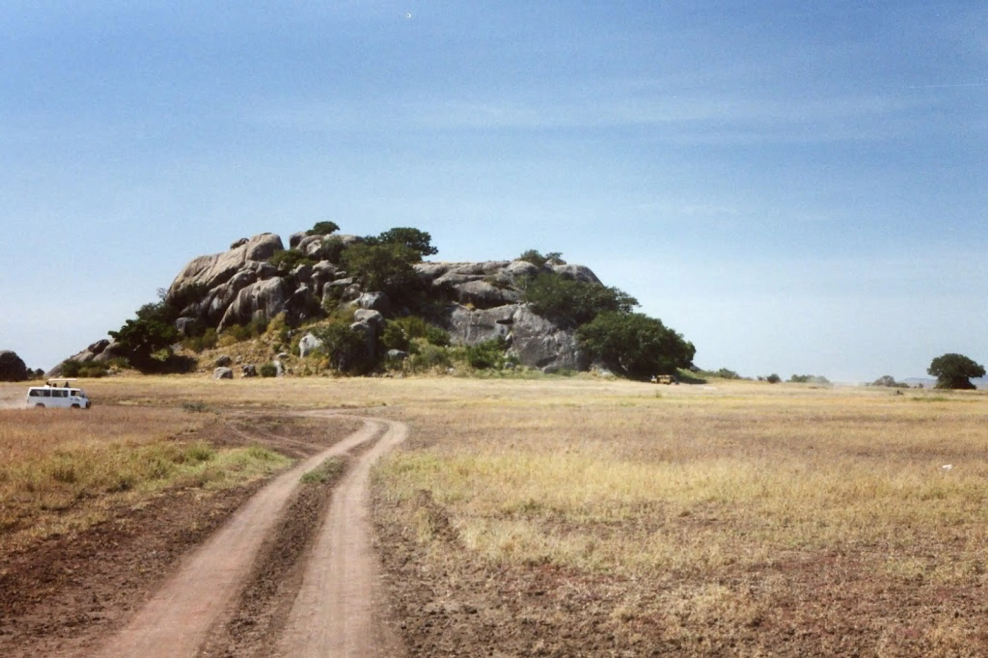 Guided Walking Safari in Seronera River Valley