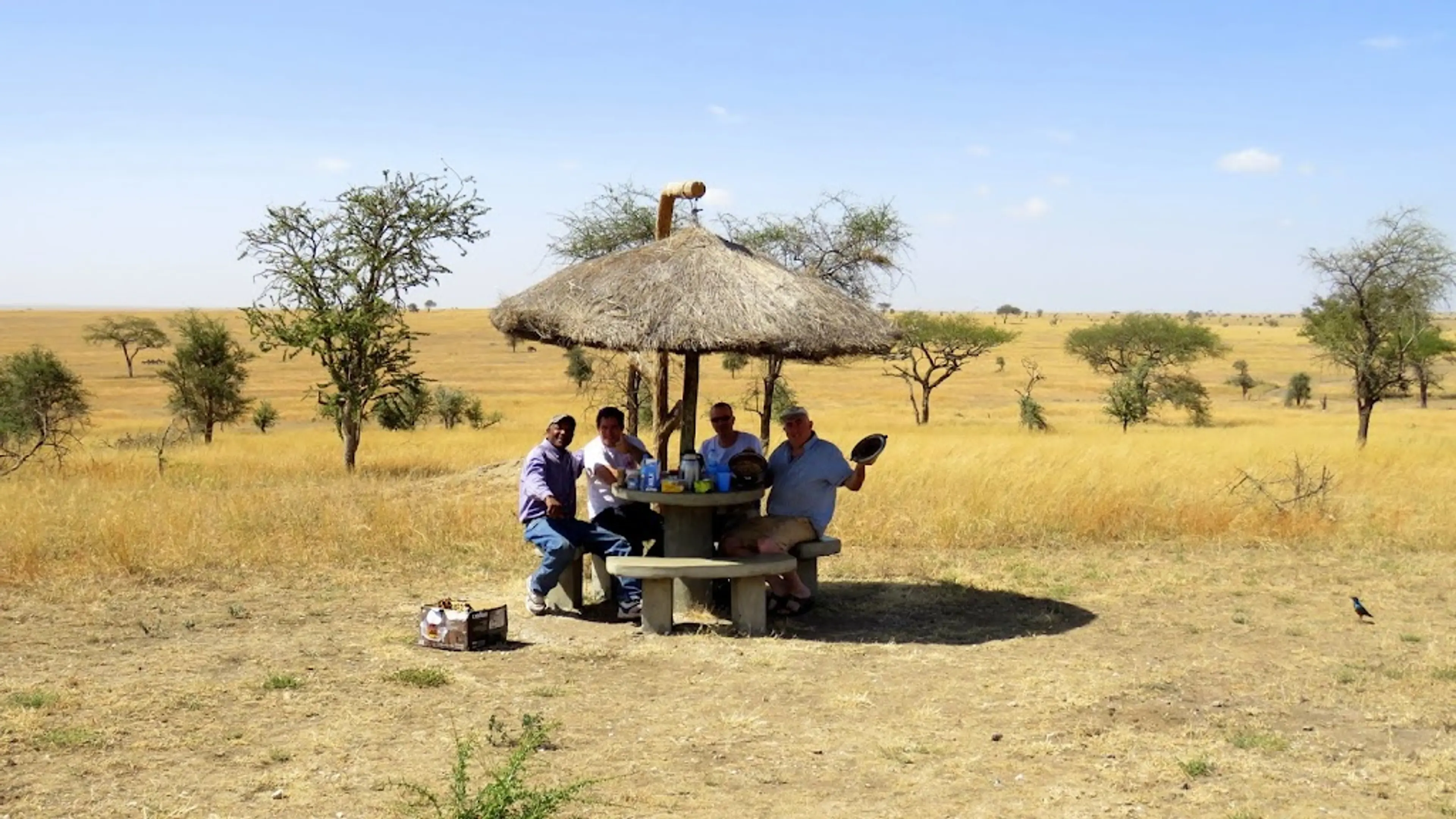 Hot air balloon ride over the Serengeti