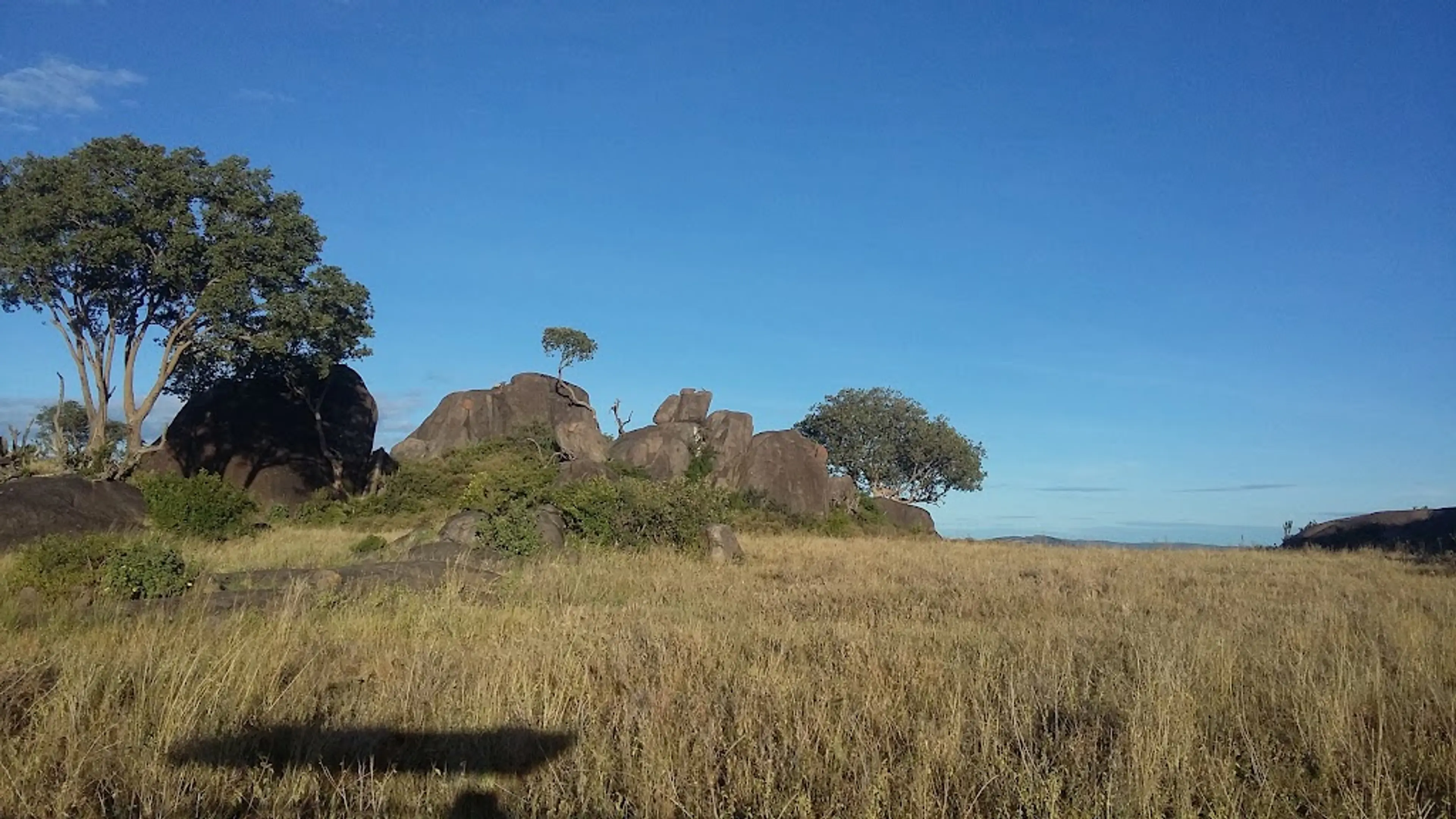 Maasai village visit