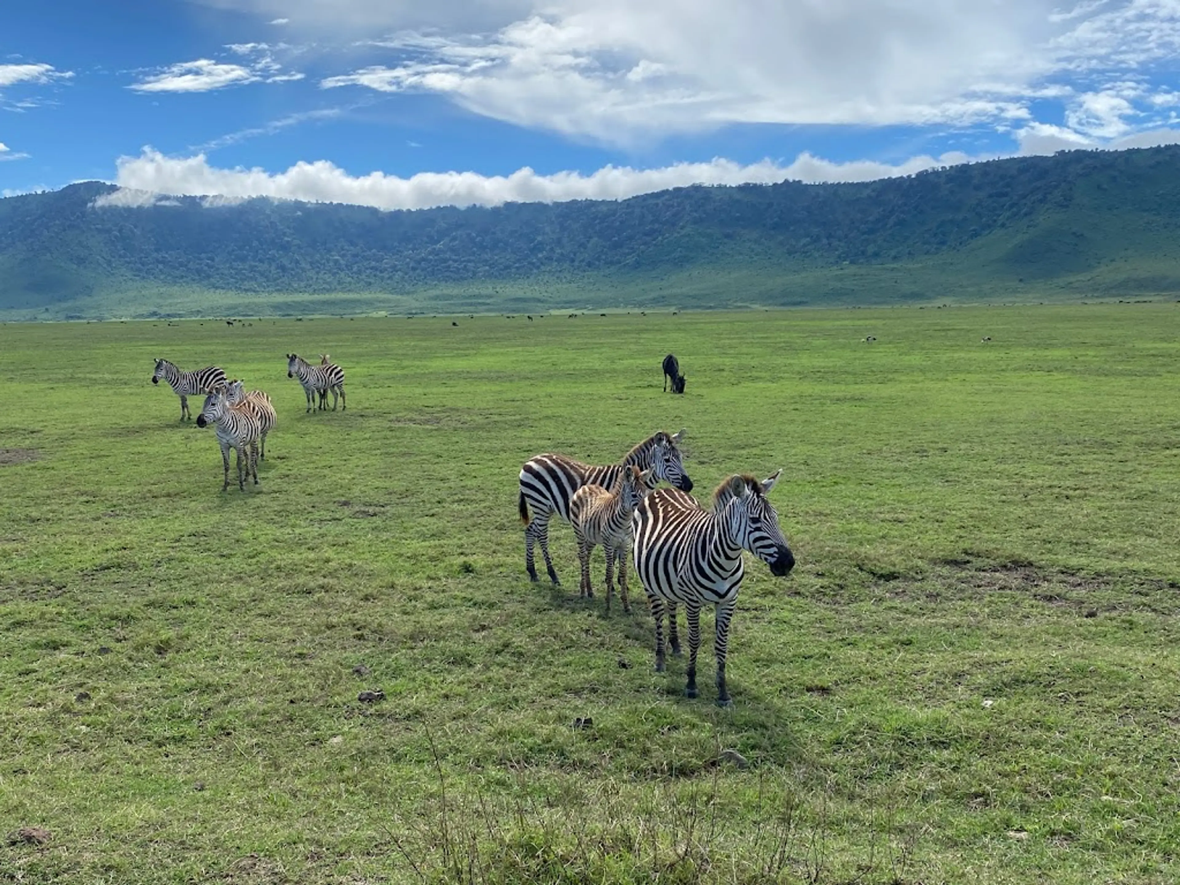 Ngorongoro Conservation Area