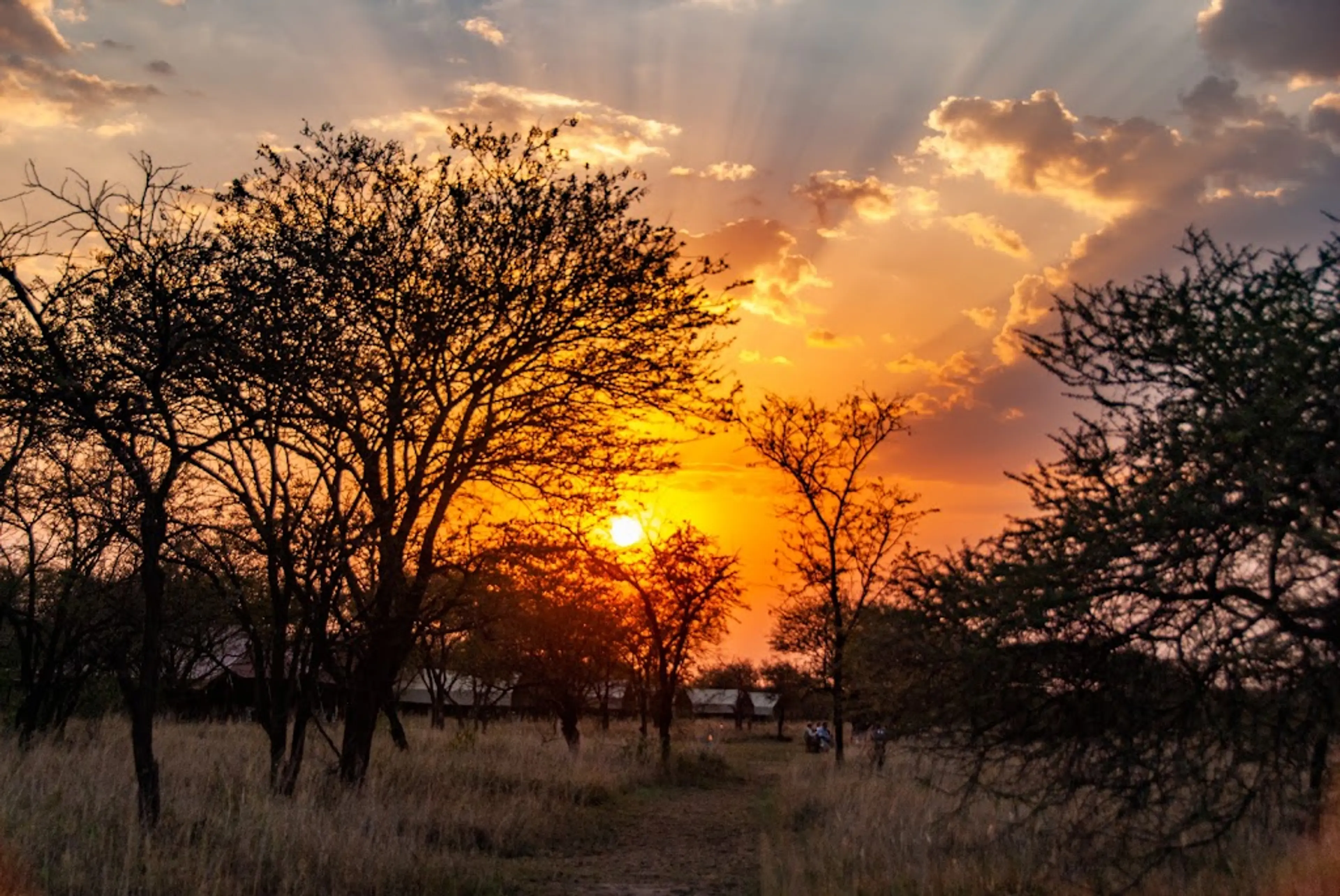 Sunrise game drive