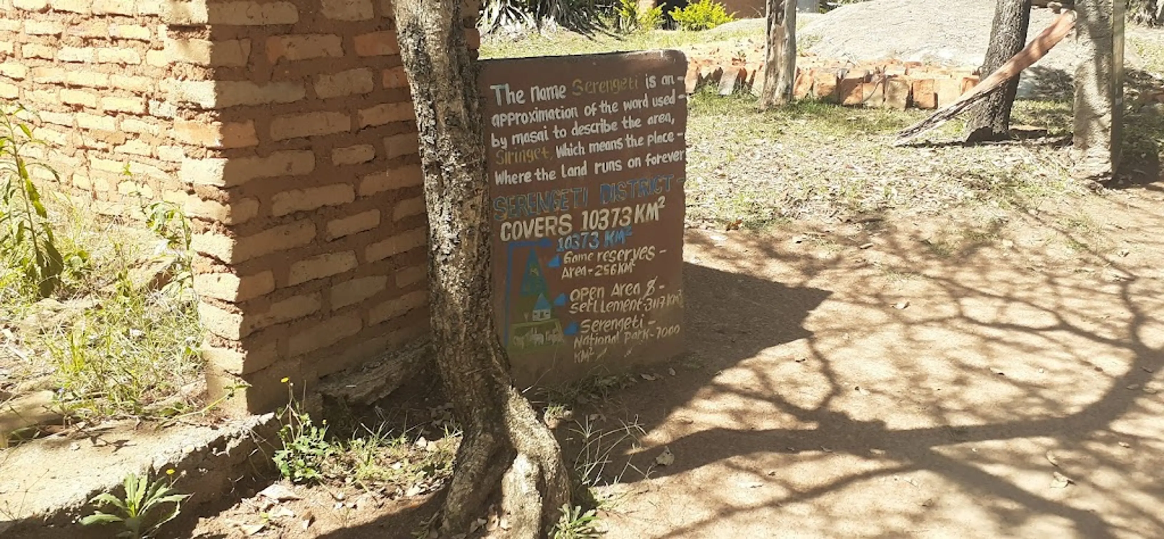 Traditional Tanzanian music