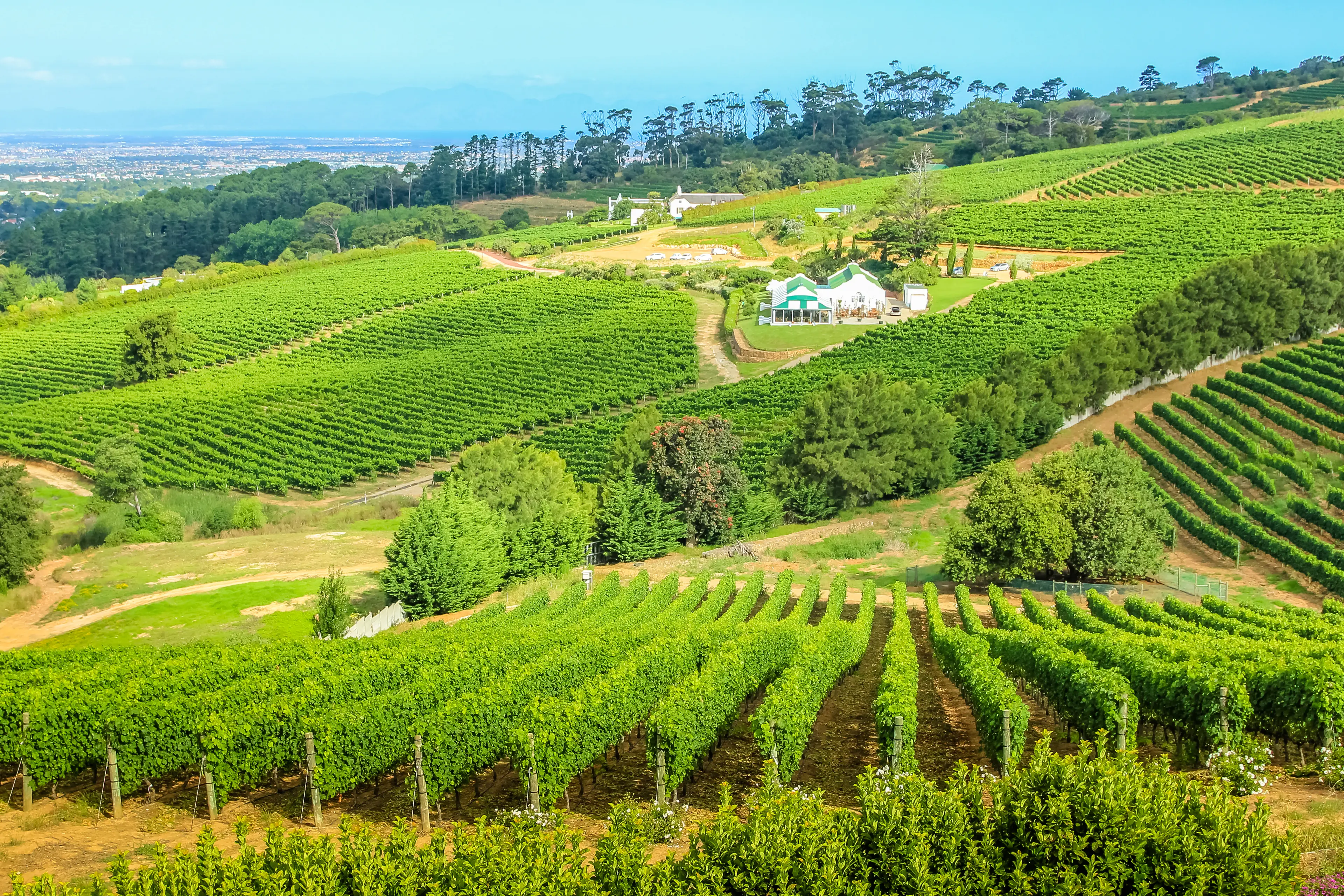 Constantia Valley