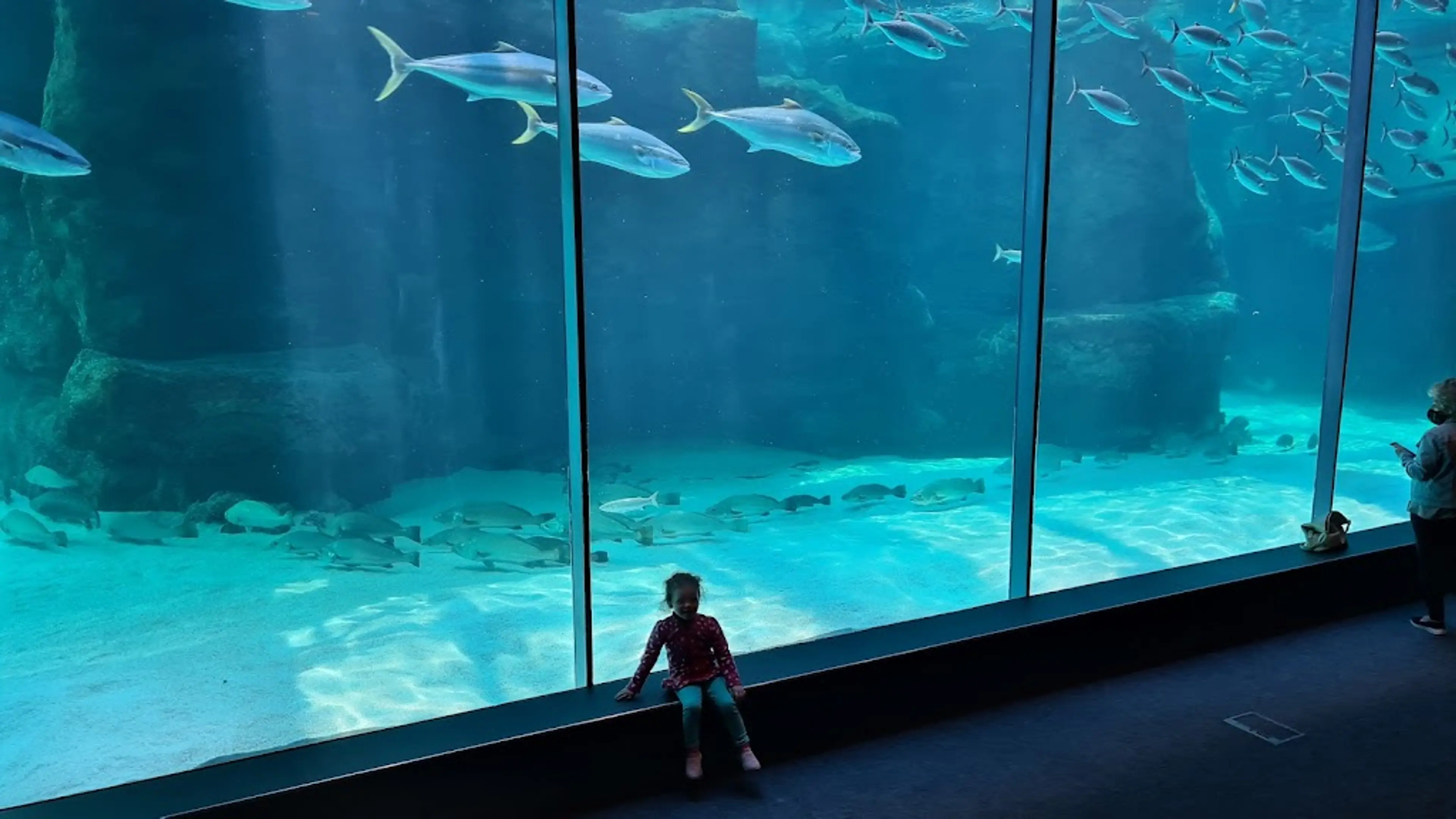Two Oceans Aquarium