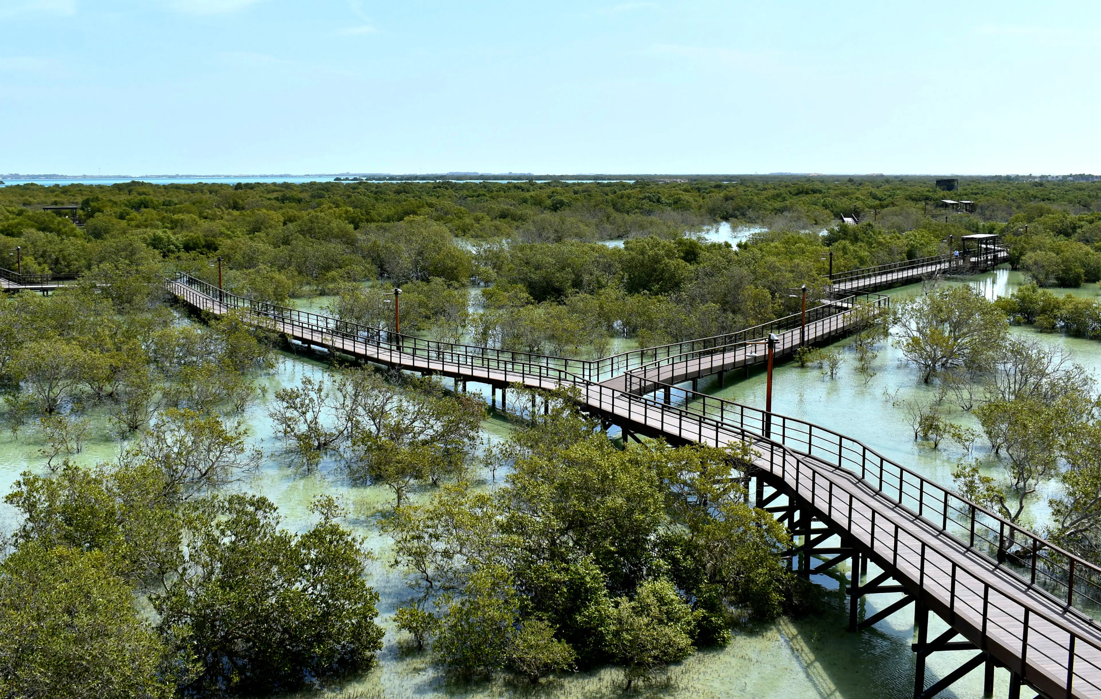 Mangrove National Park