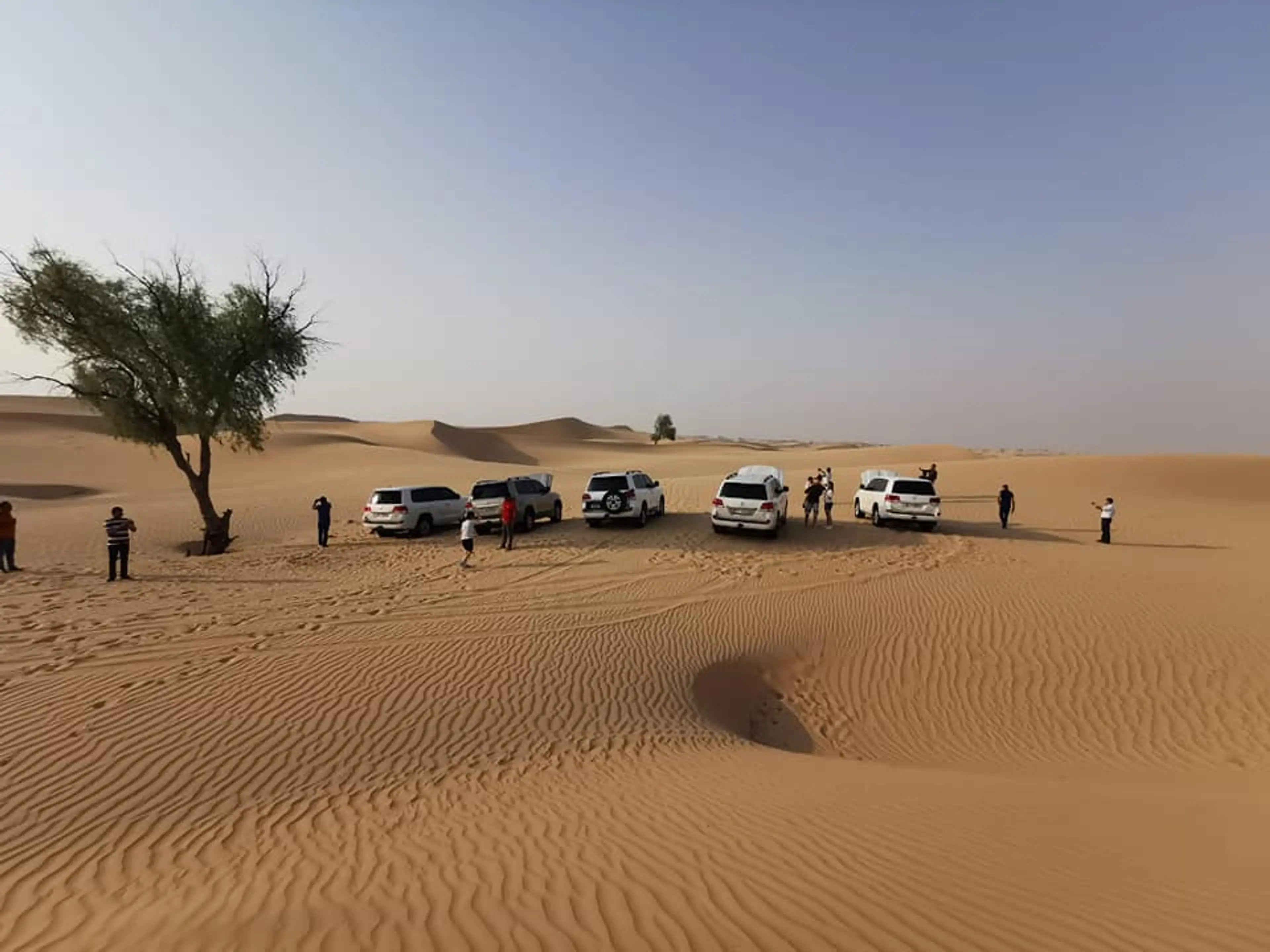 Arabian Desert