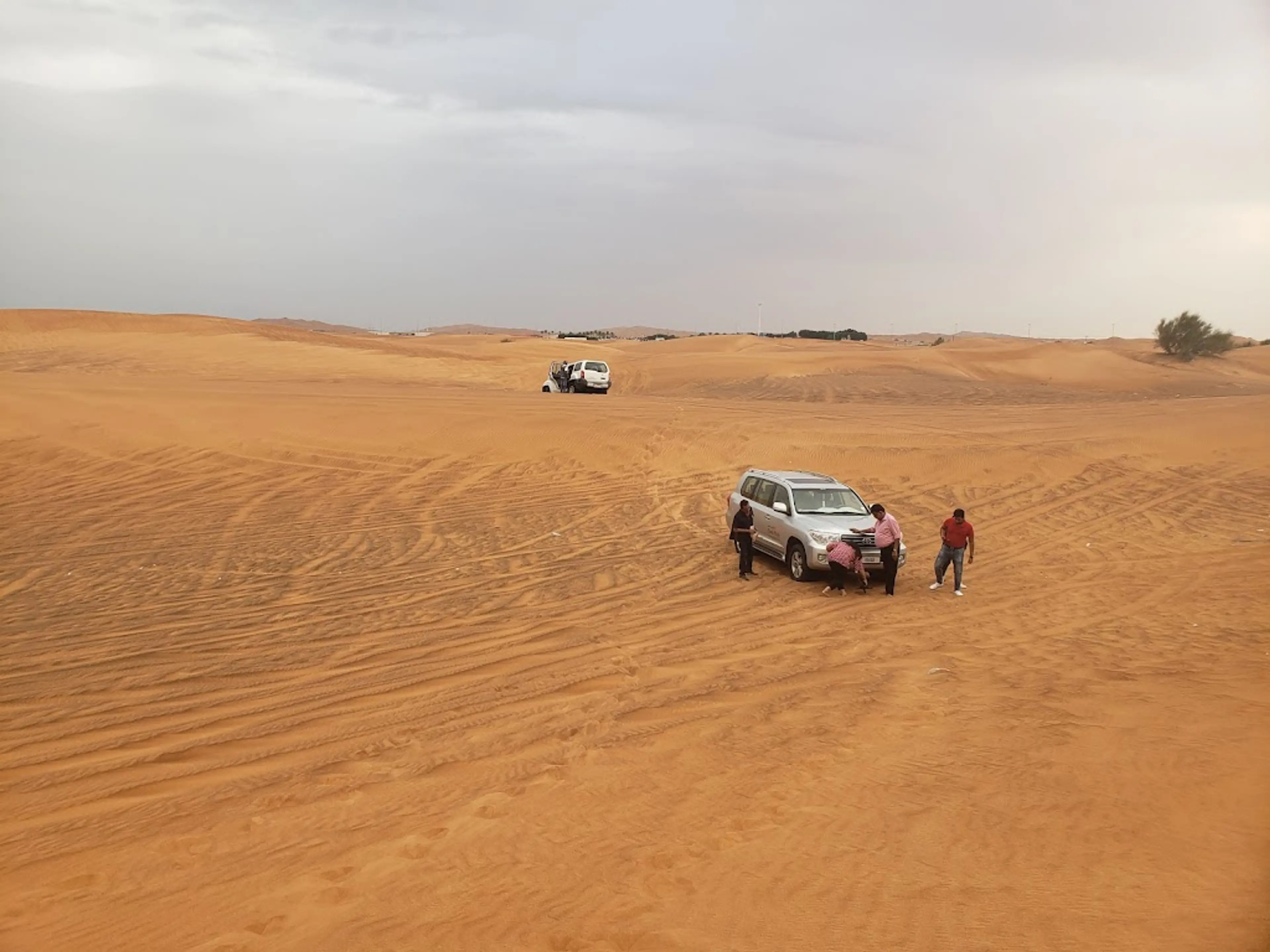 Arabian Desert