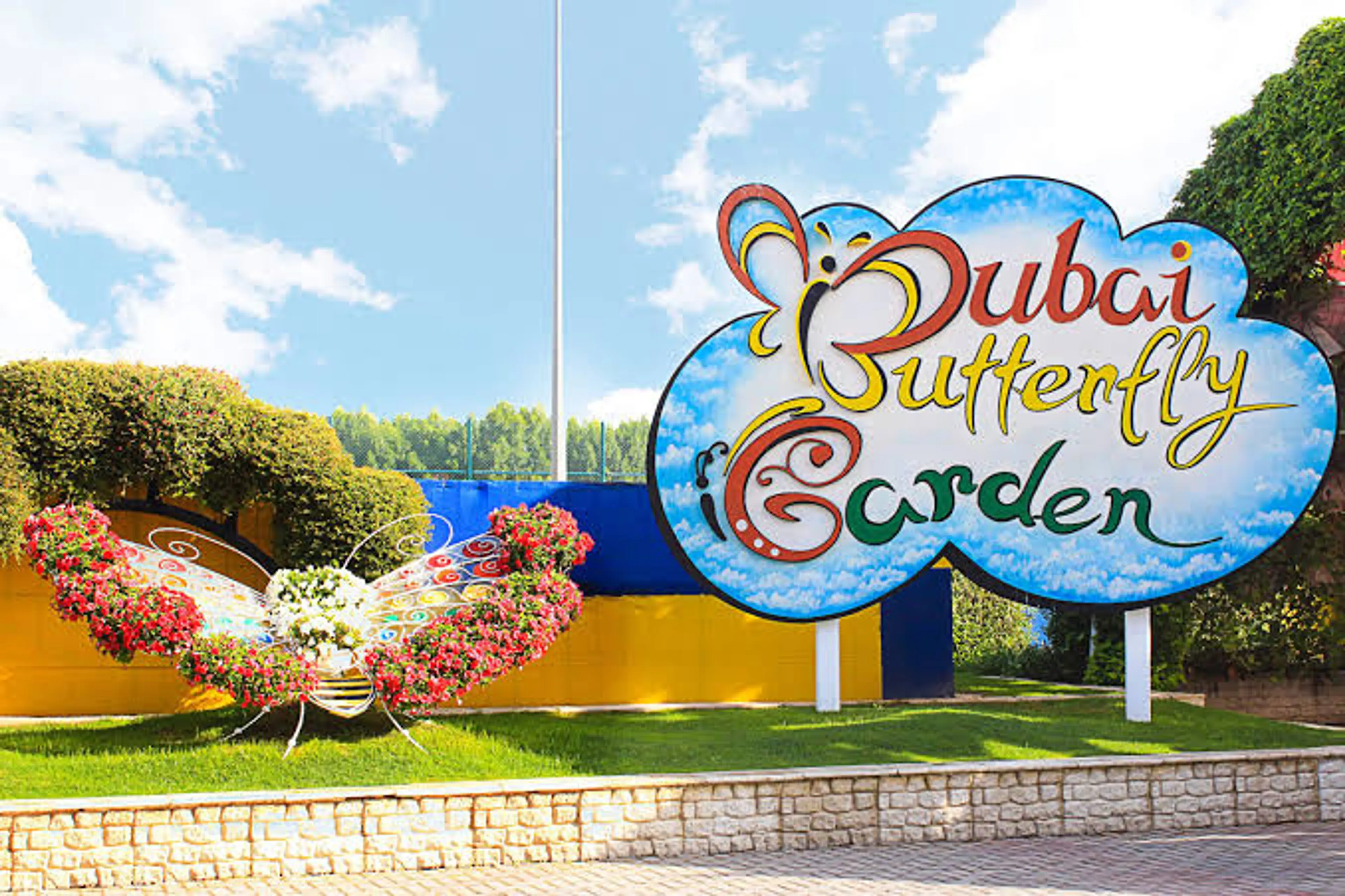Butterfly Garden