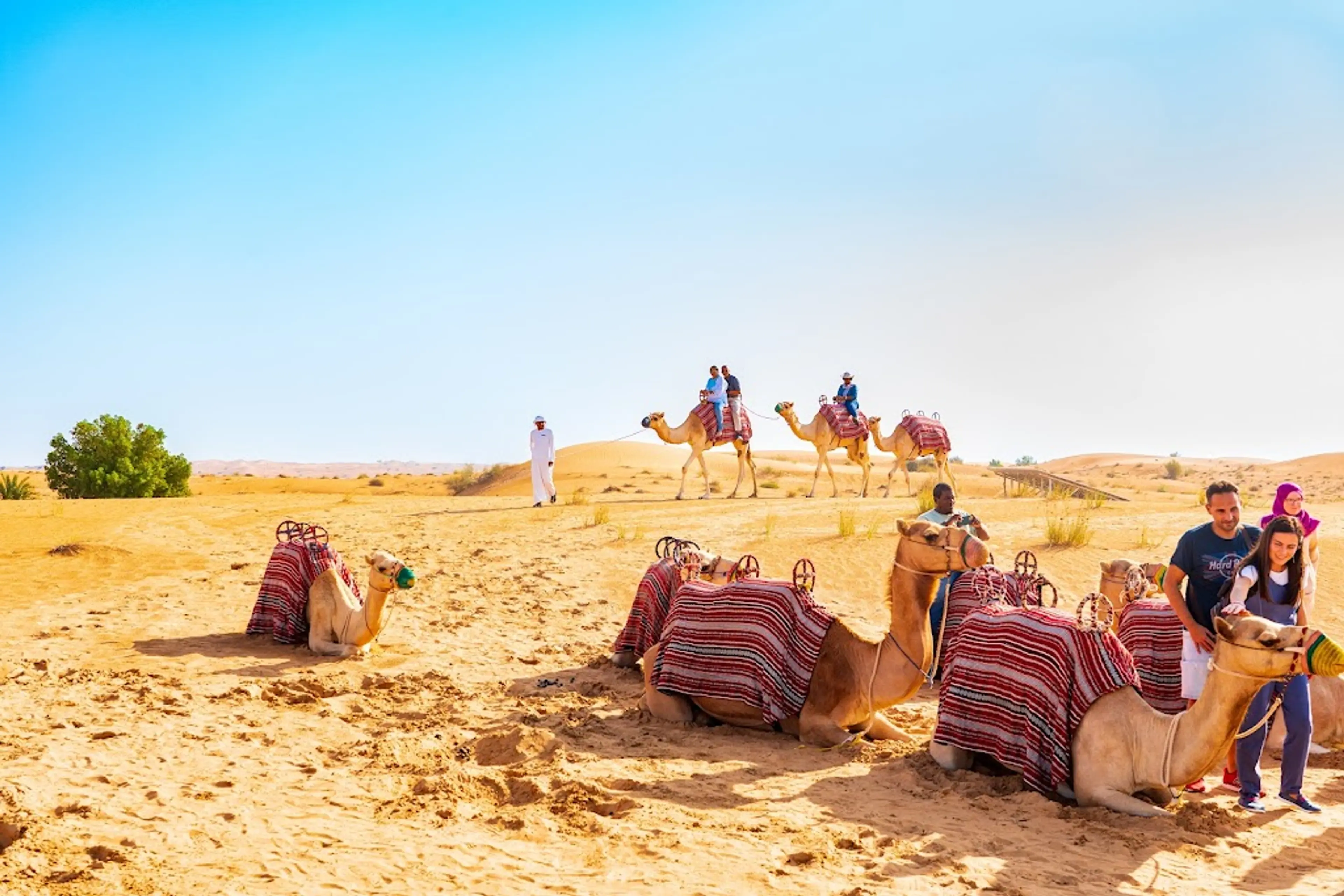 Dubai Desert Conservation Reserve