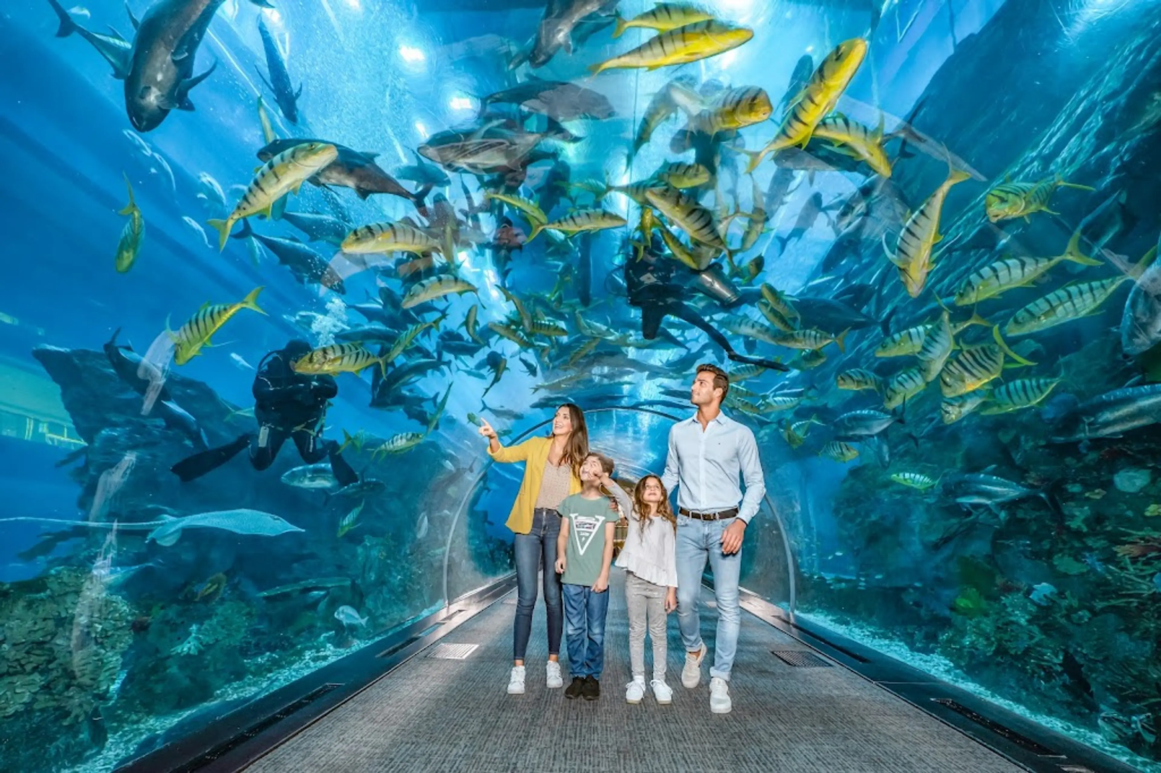 Indoor aquarium and underwater zoo