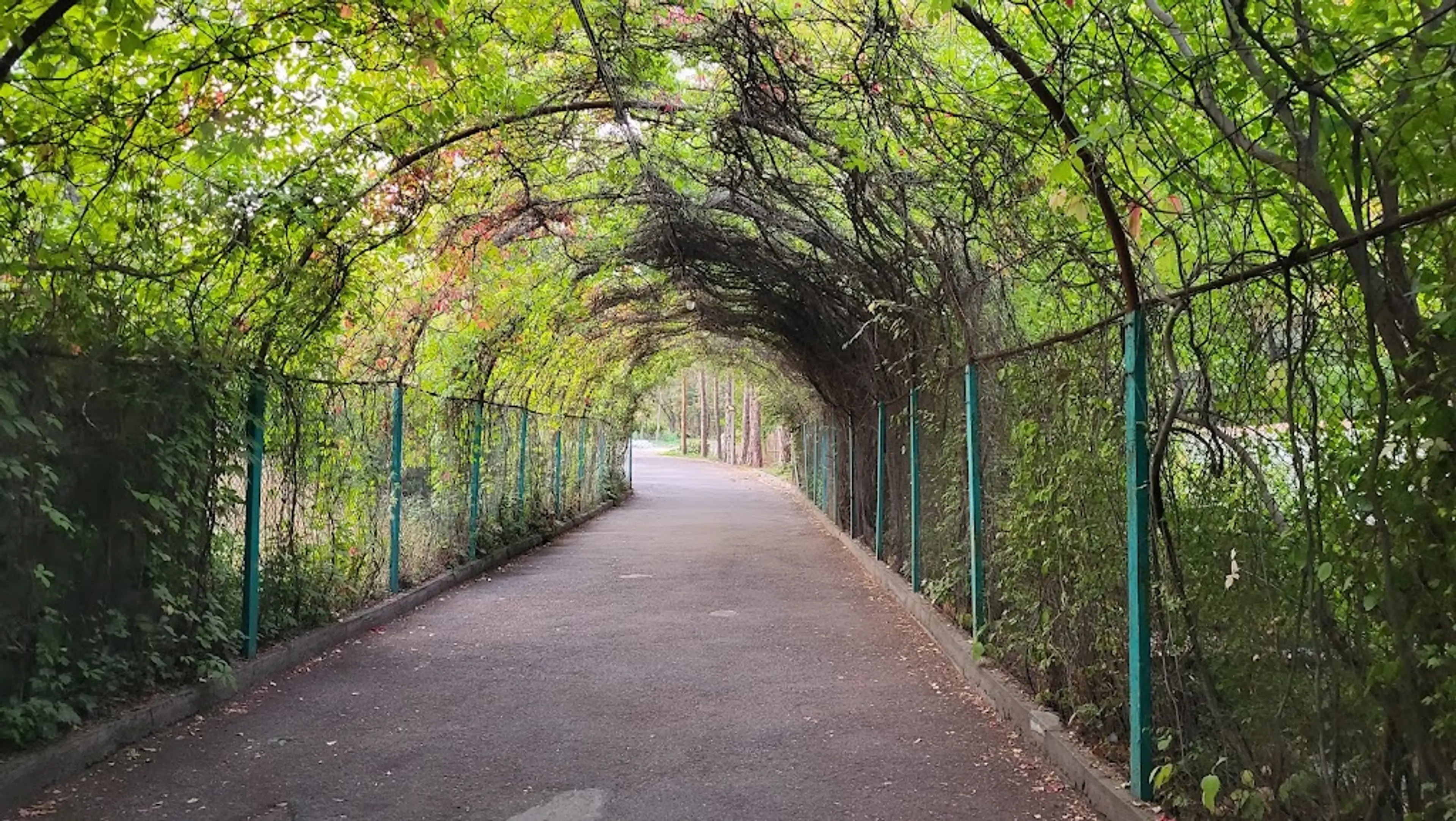 Yerevan Botanical Garden