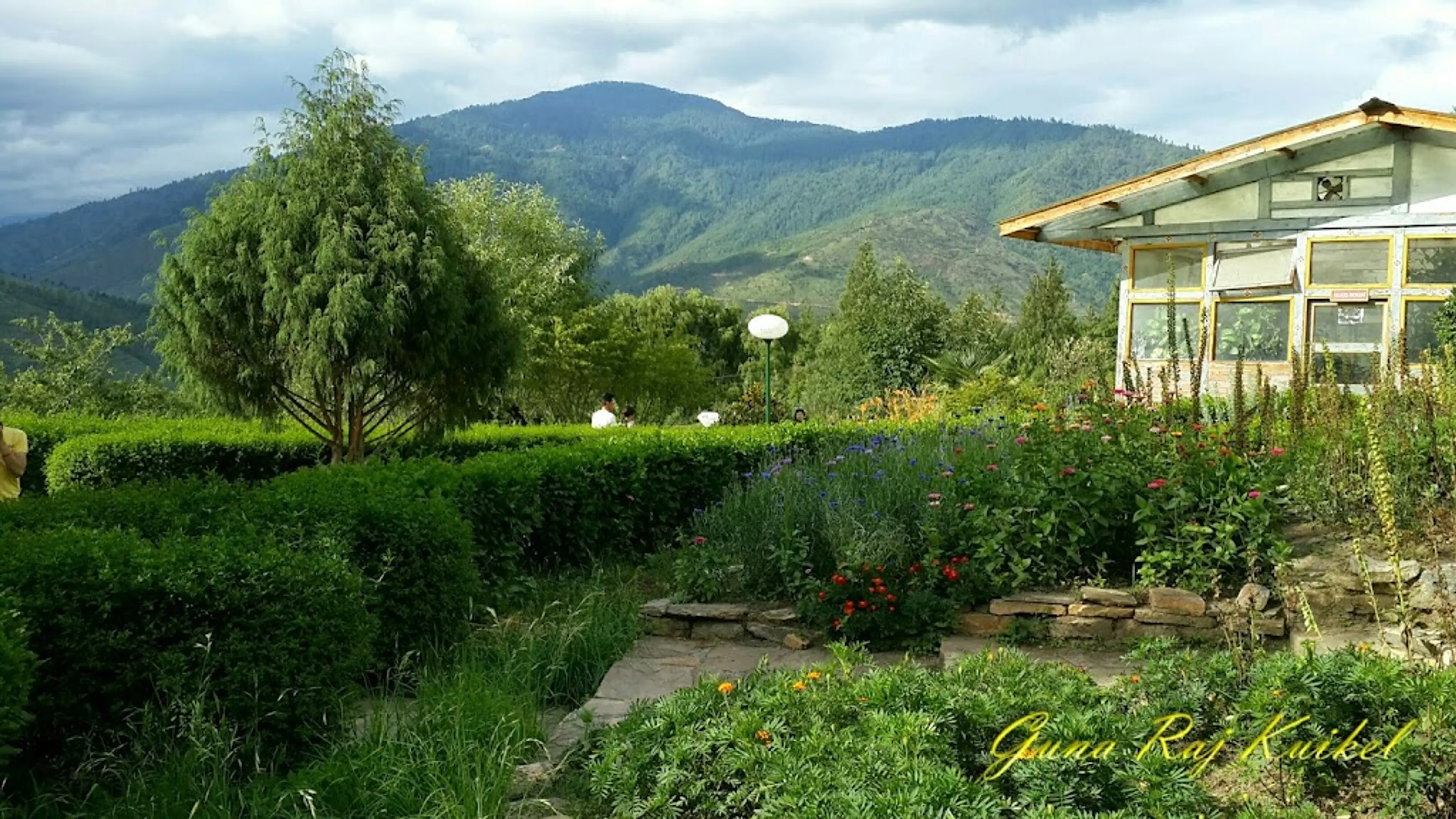 Royal Botanical Garden