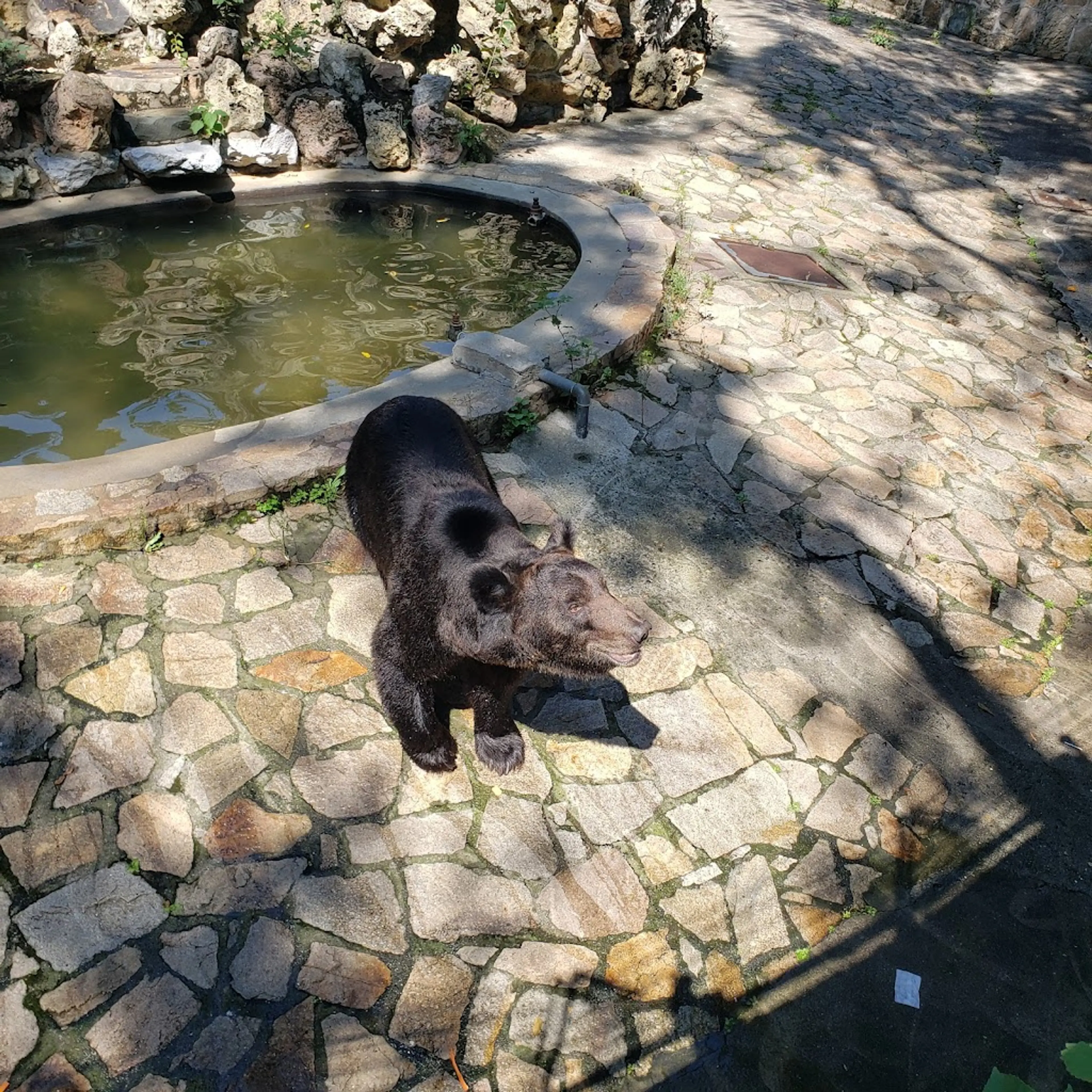 Shanghai Zoo