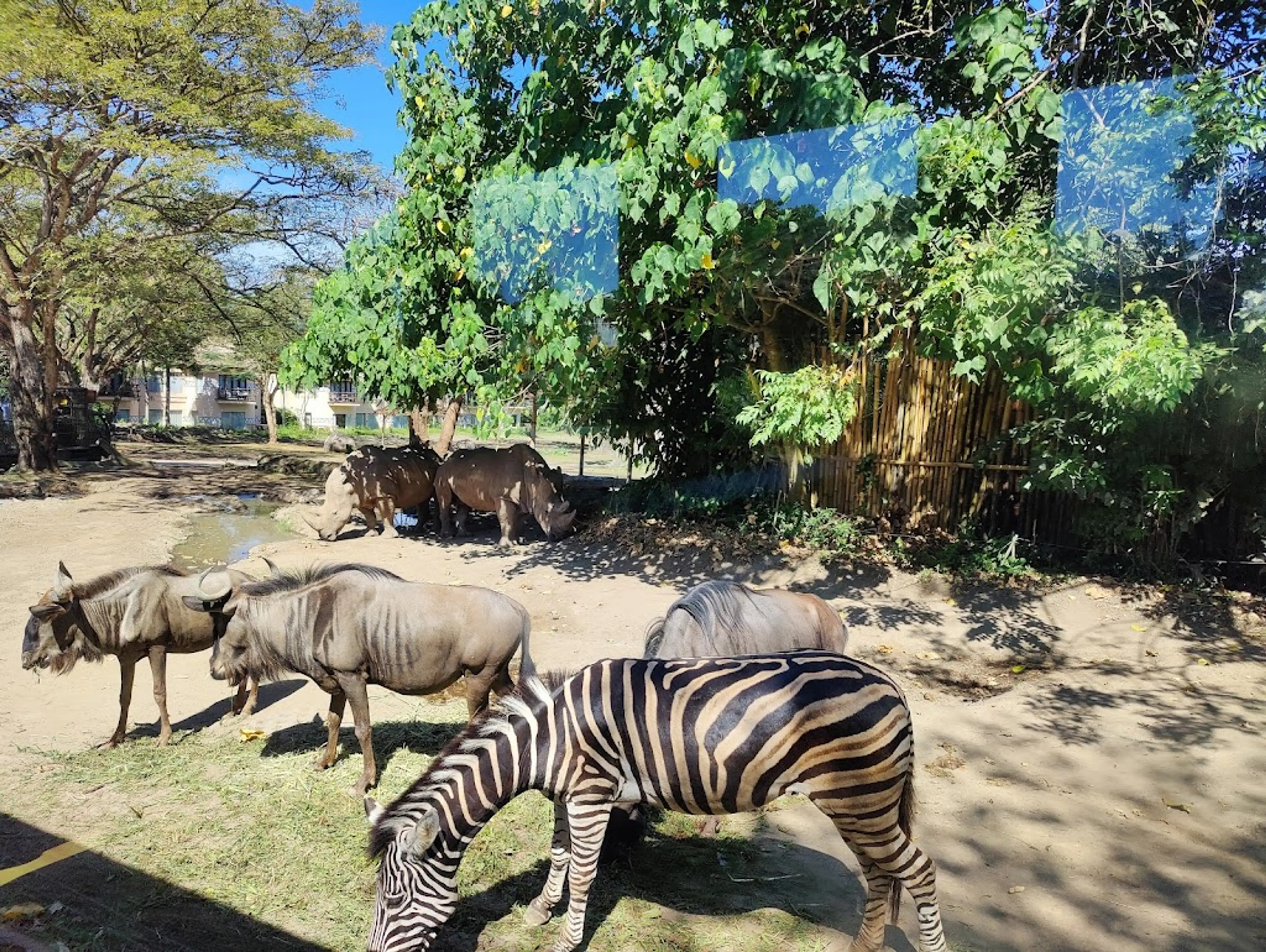 Bali Safari and Marine Park