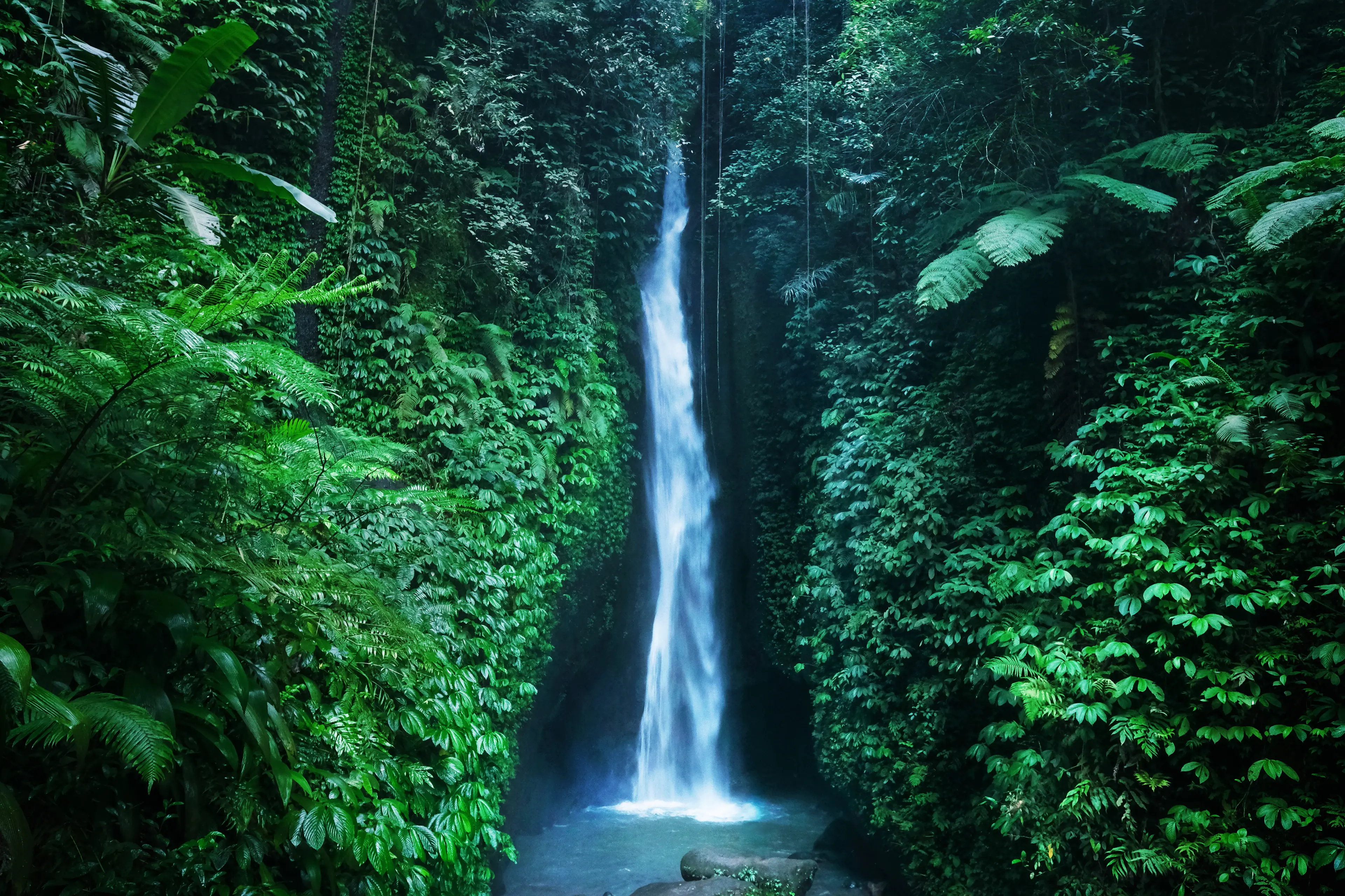 Hidden Waterfall